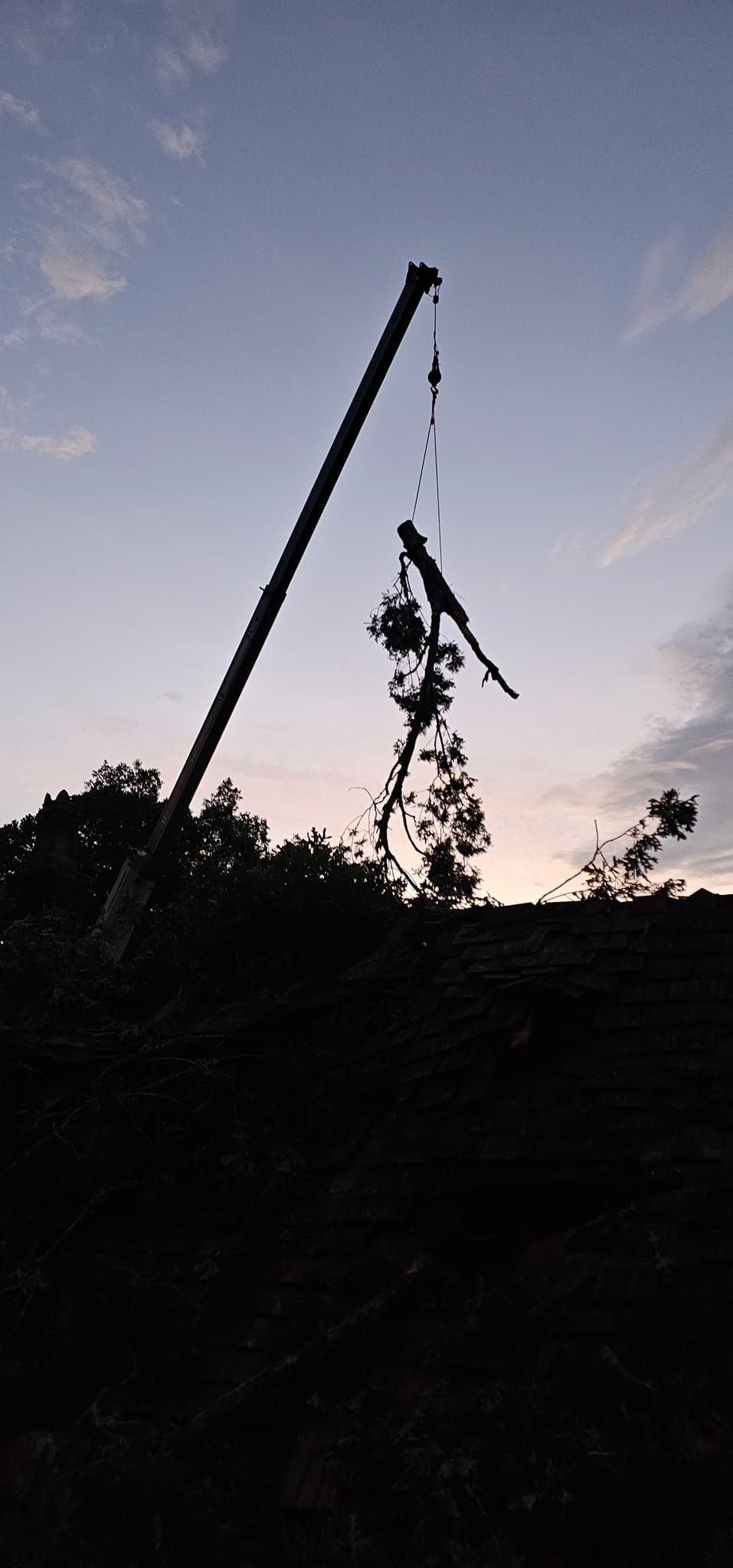  for Reagan & Sons Tree Service in Dandridge, TN