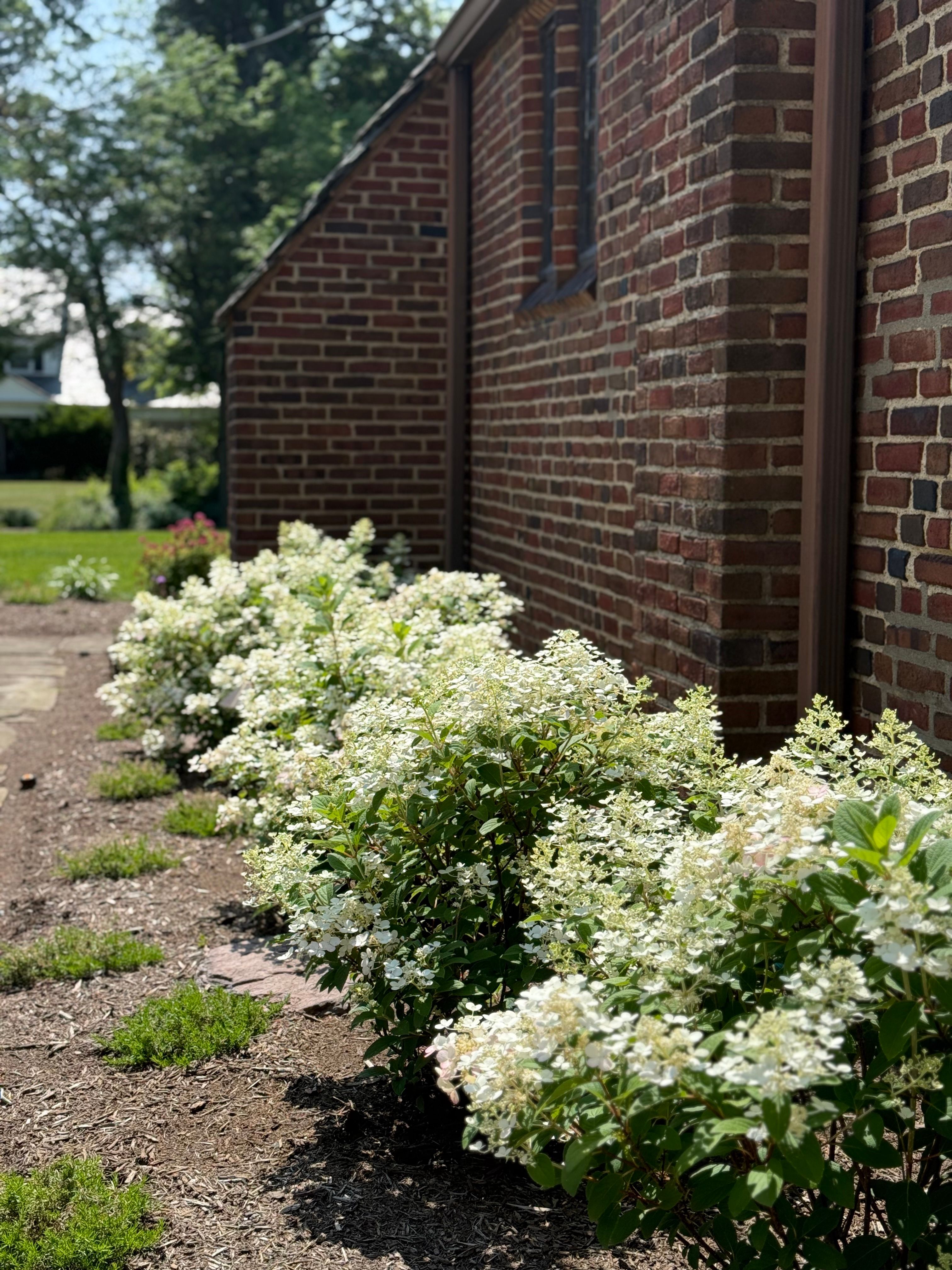 Softscaping for Hillside Landscape & Design in Chesterland, OH