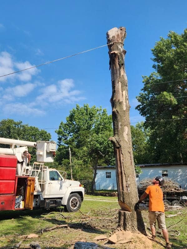  for H n H Tree Service in Taneyville, MO