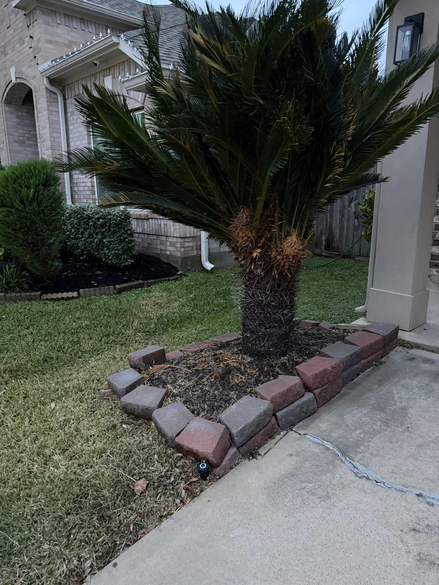  for Texas Curb N Borders in Houston, TX