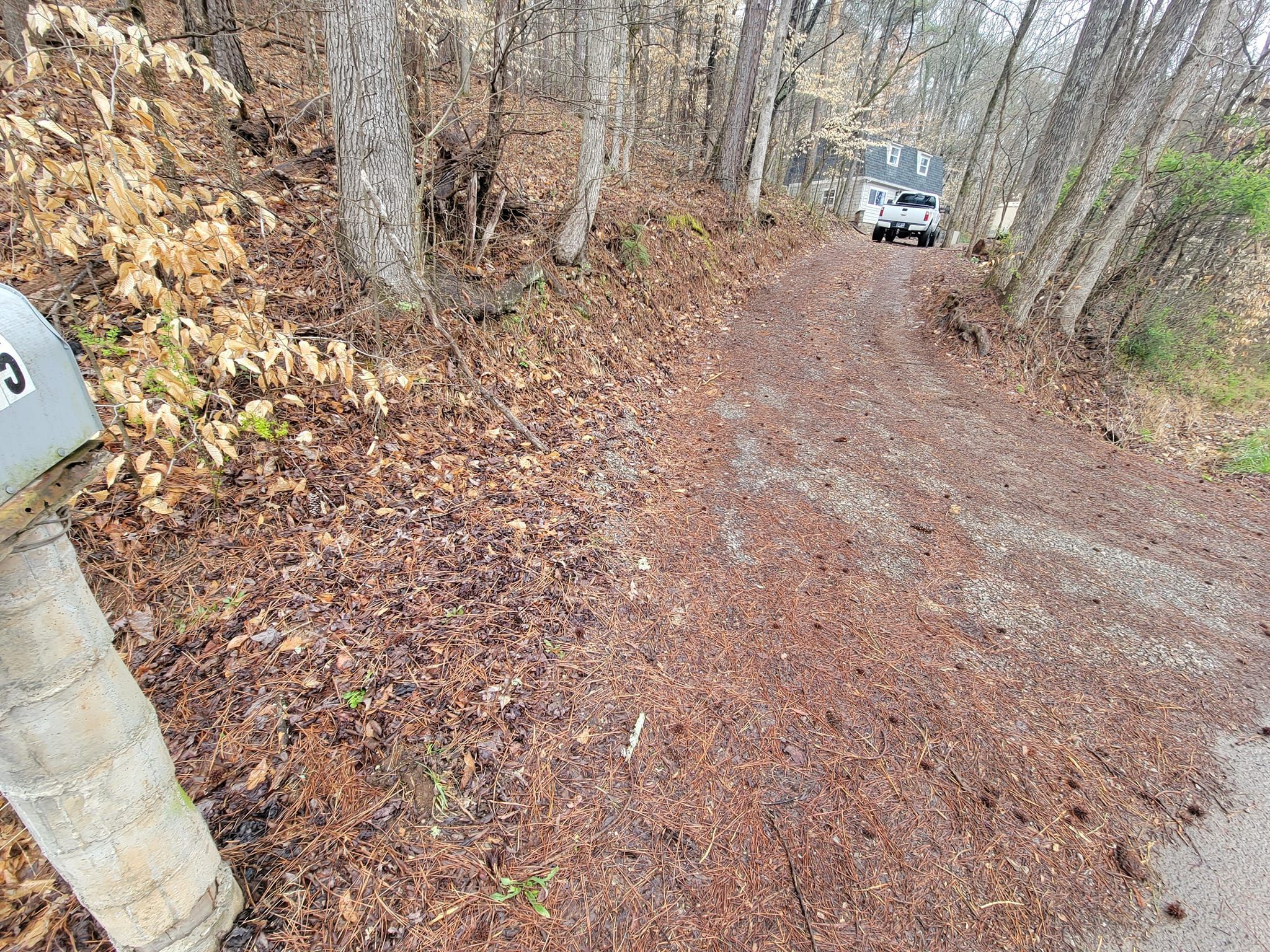  for Carter’s Grading Services in Greenback, TN