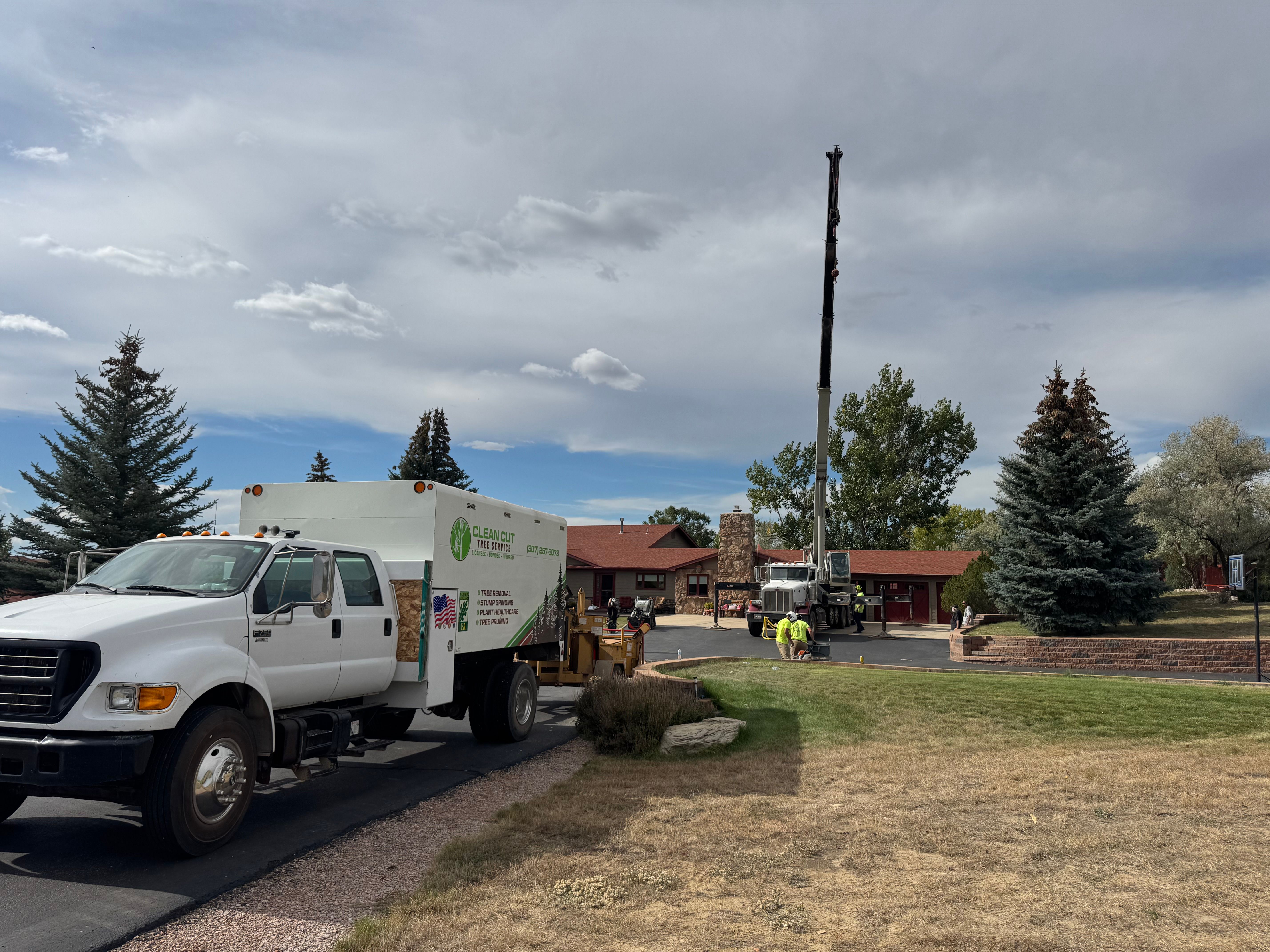  for Clean Cut Tree Service in Gillette, WY