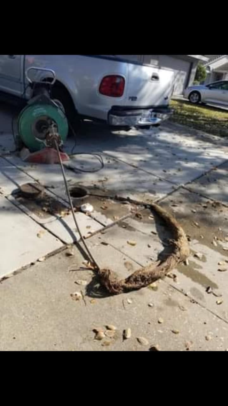  for 24/7 Rooter & Drain Cleaning in Stockton, CA