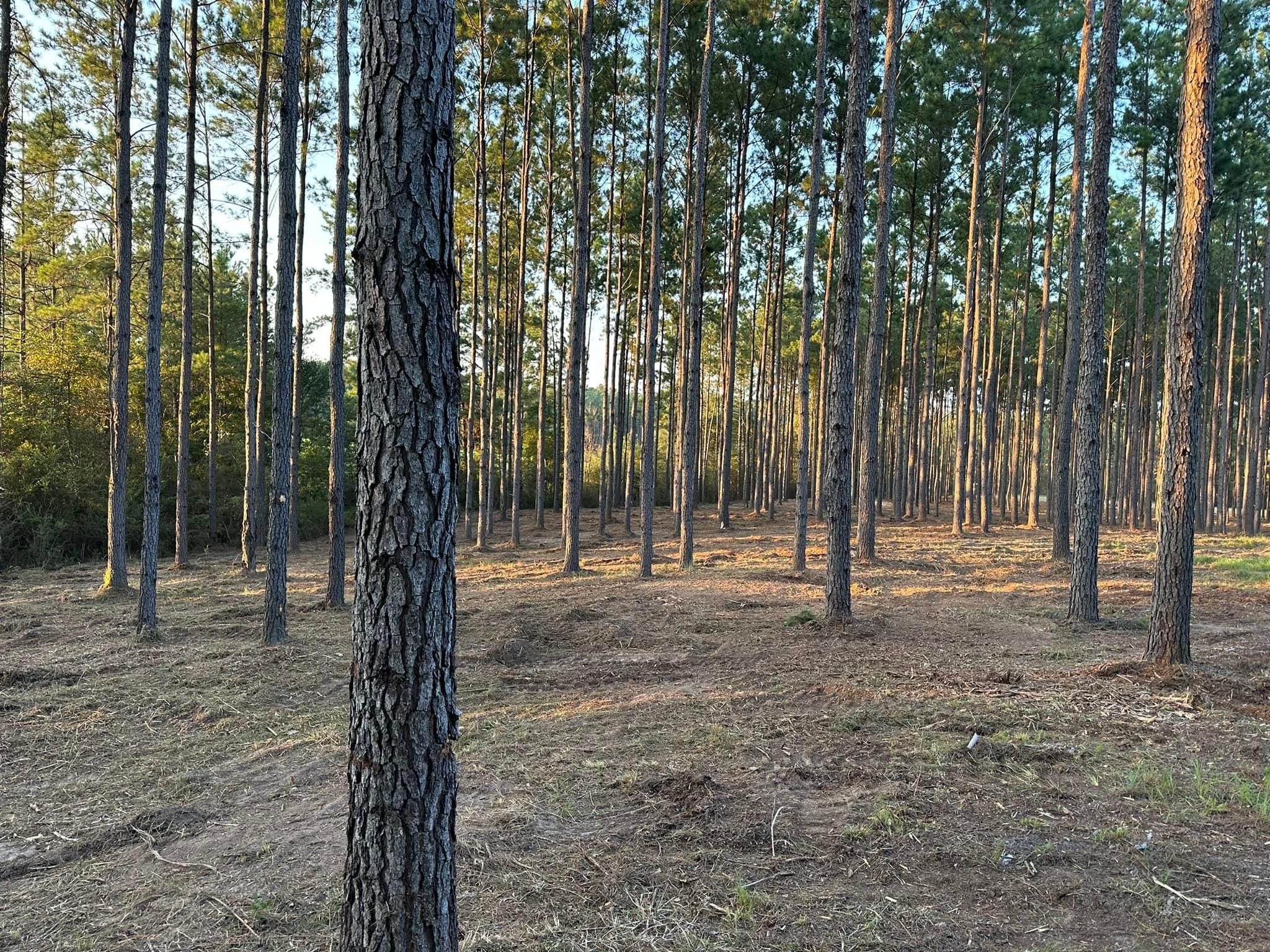 All Photos for White’s Land Maintenance in Milton,, FL