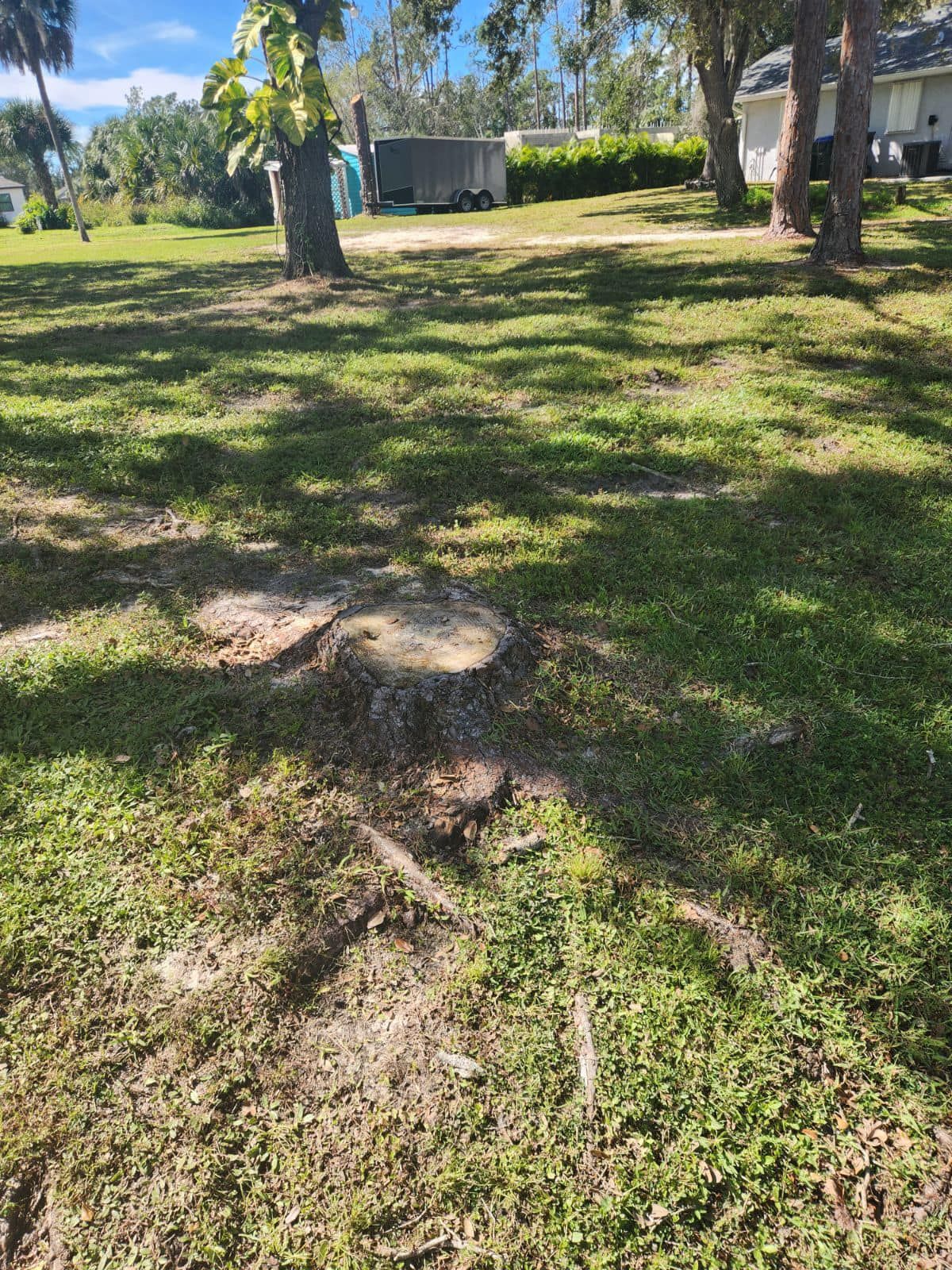  for Nick of Time Tree Service in North Port, FL