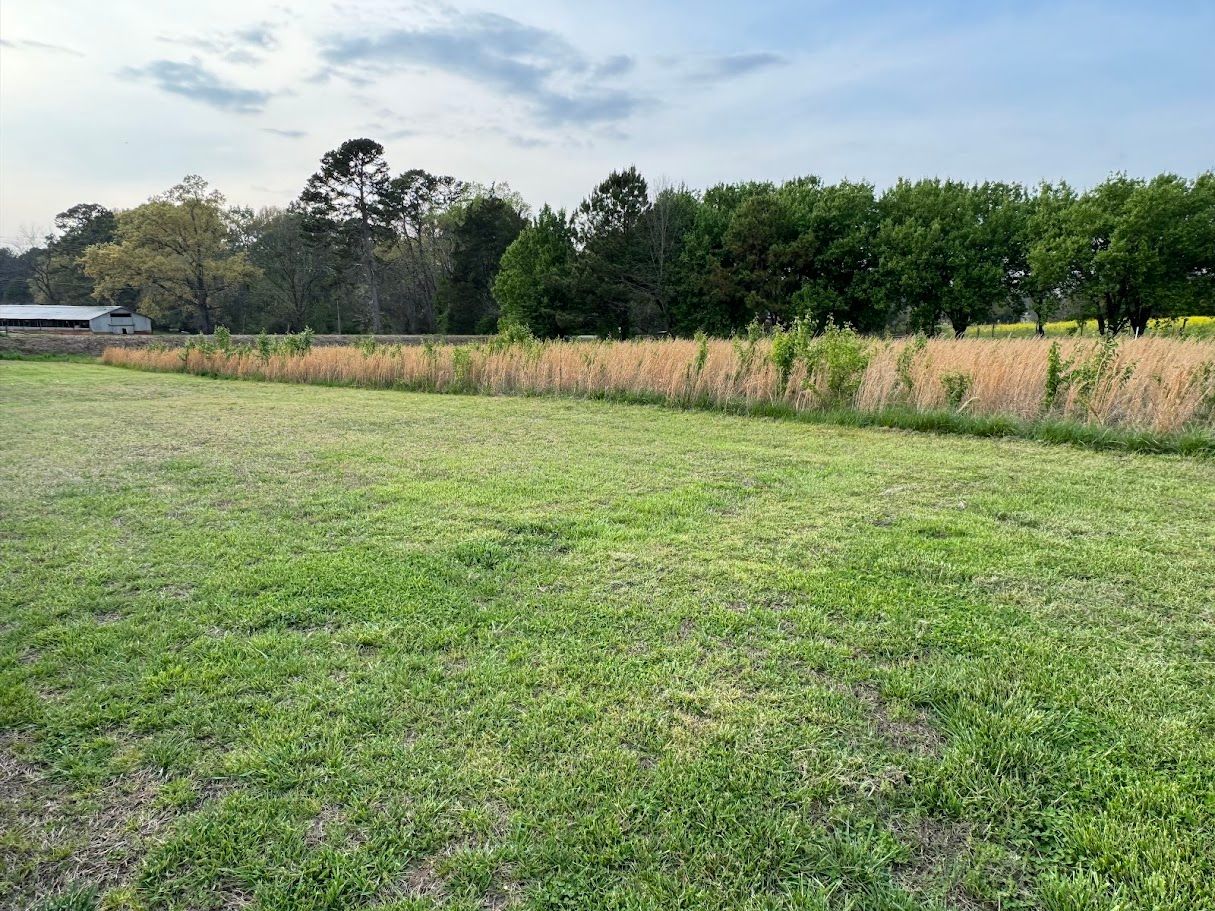  for Deeply Rooted Lawn Installations - Sod Installation & Hydroseeding Services in Winder, GA