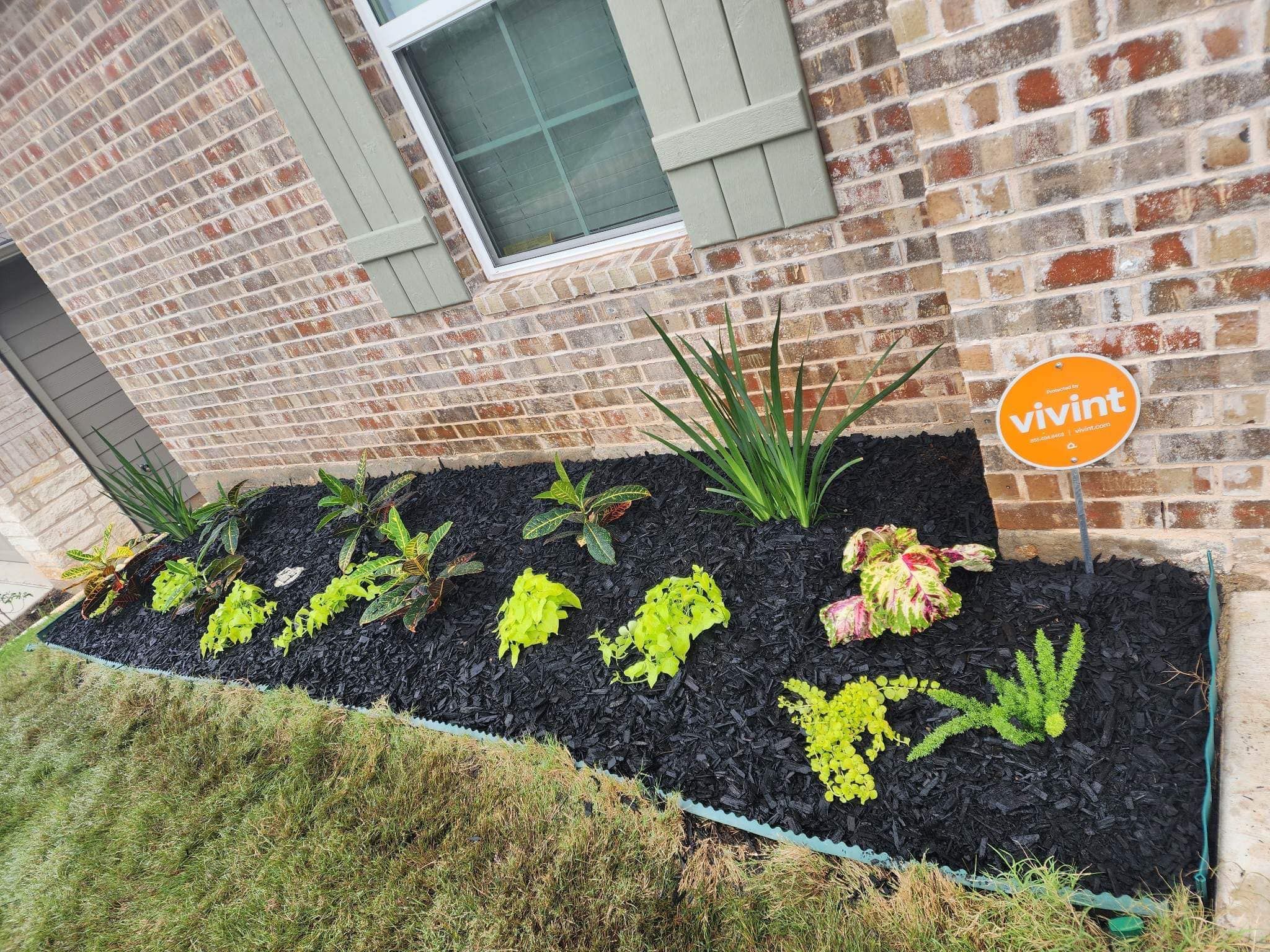  for Pina Landscaping in Austin, TX