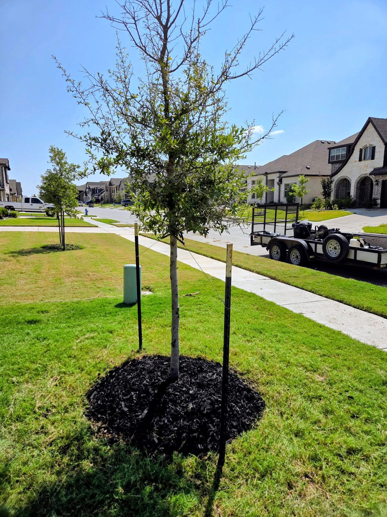  for Lavon Lawn Plus in Lavon, TX