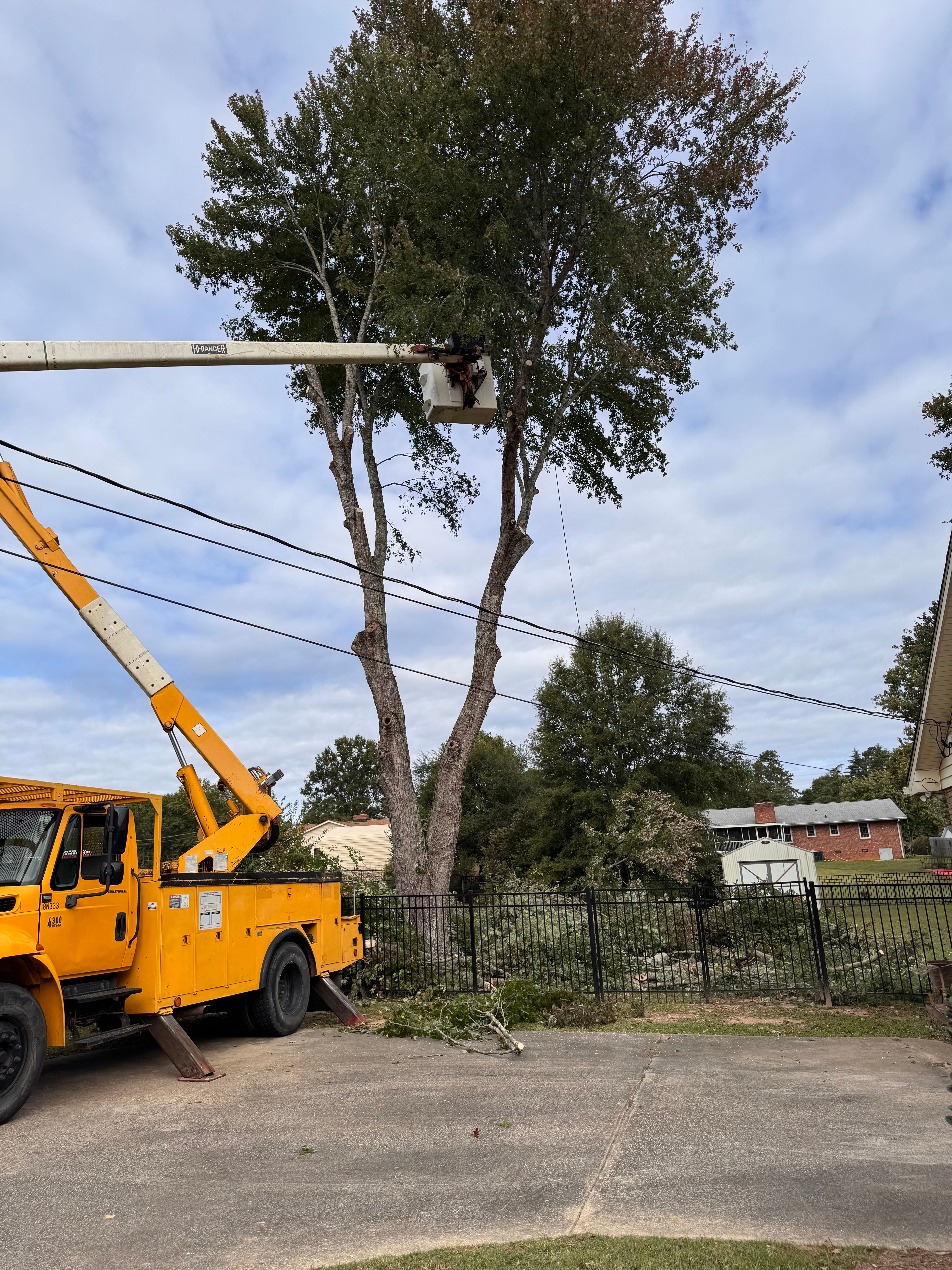  for Veteran Land Management in Greenwood, SC
