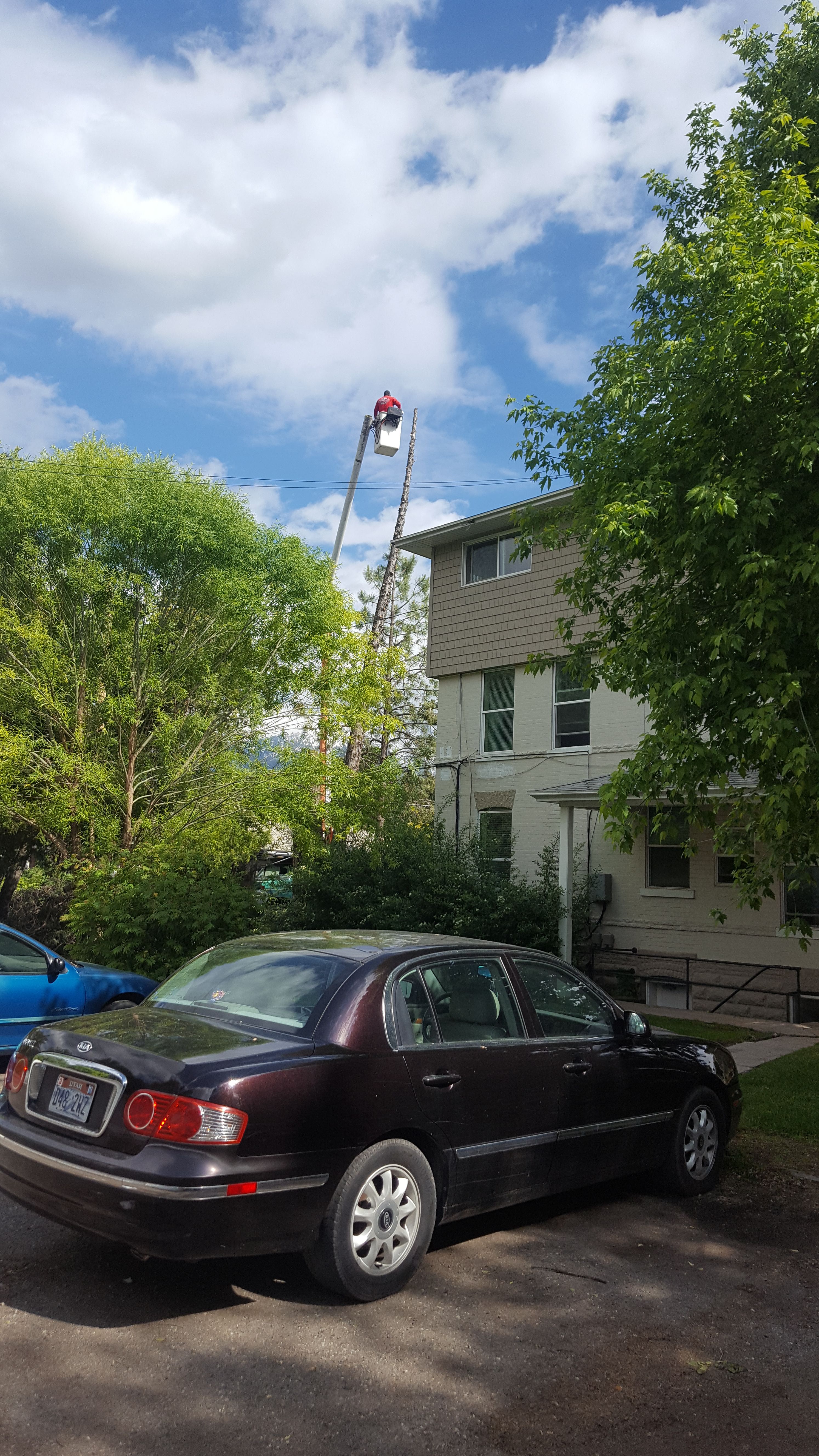  for Platinum Lawn Service in Santaquin, UT