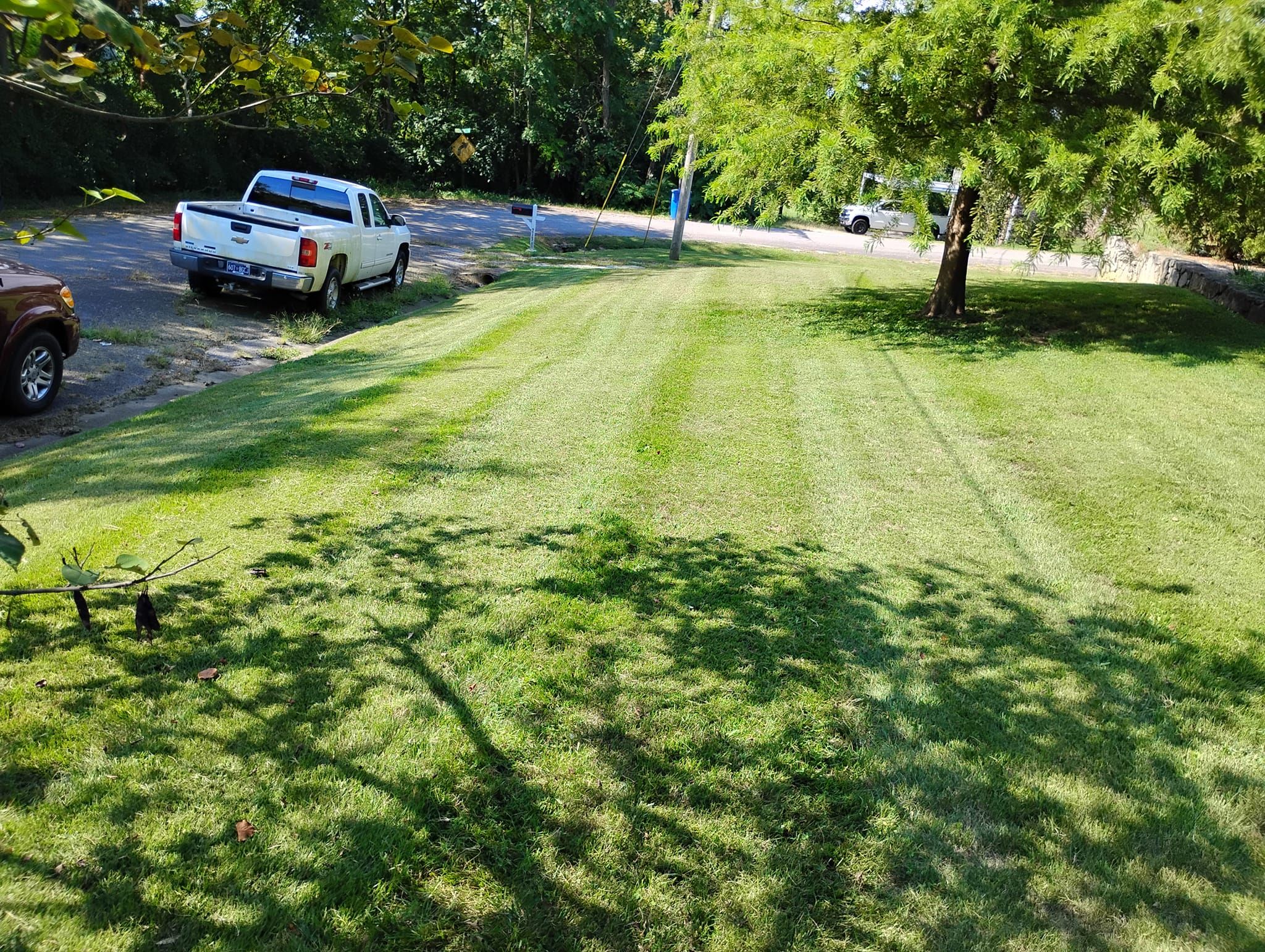 Lawn Care for Mark's Lawn Care in Mount Pleasant, TN