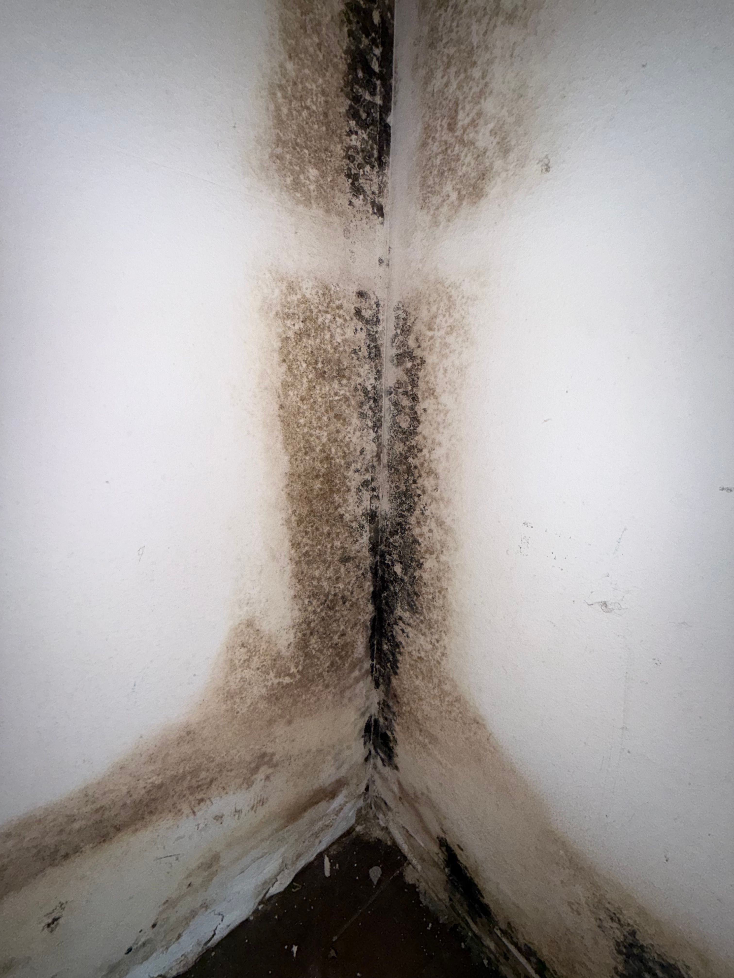  for N&D Restoration Services When Disaster Strikes, We Come In in Cape Coral,  FL