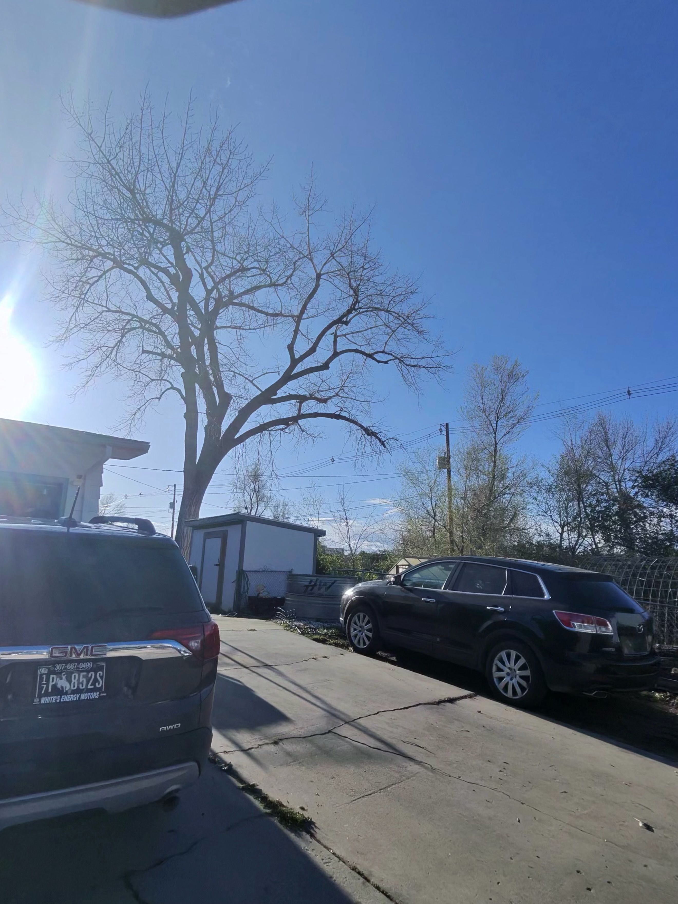  for Elevated Tree Care in Gillette, WY