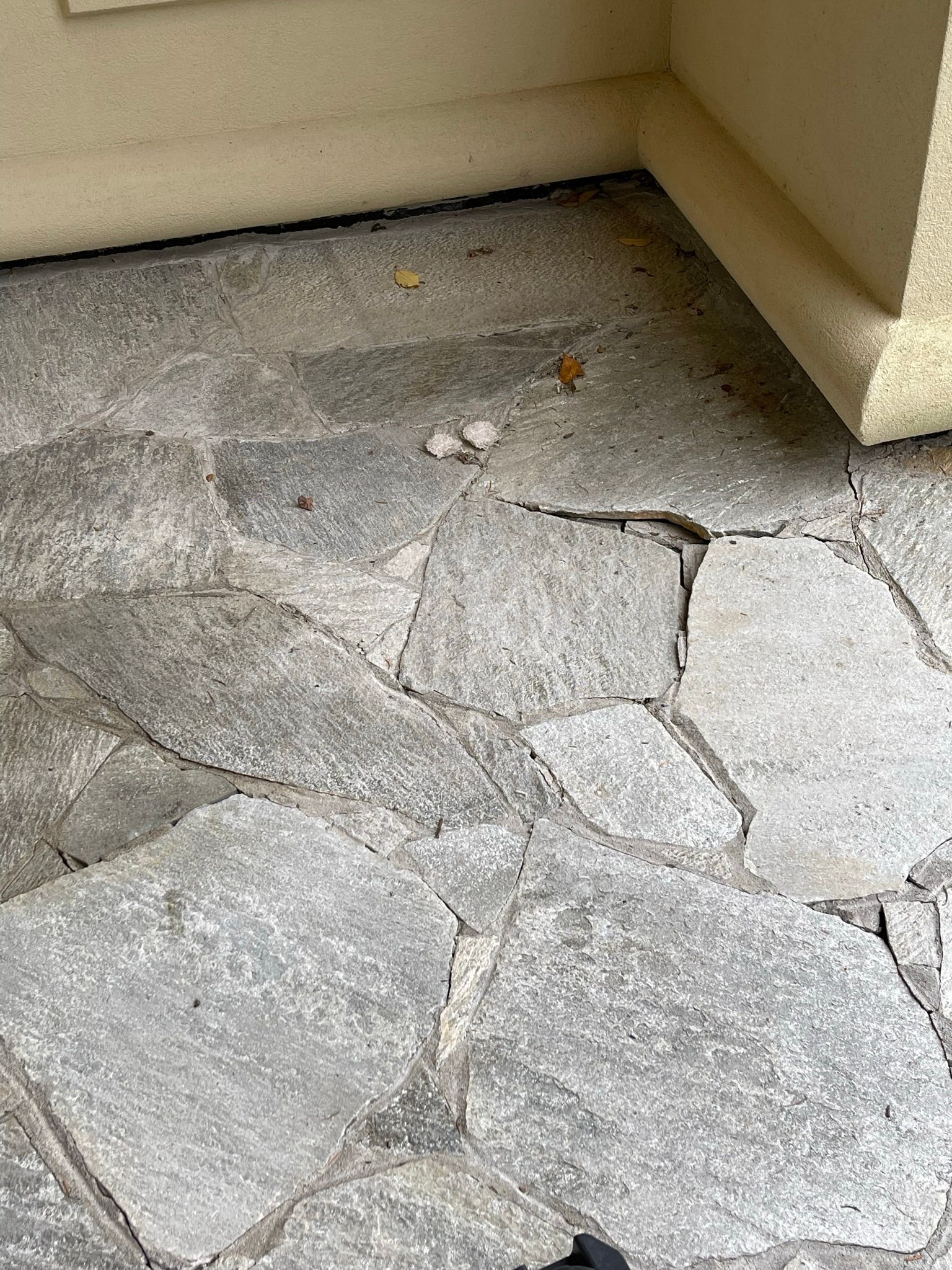  for Tony's Remodeling & Painting in Renton, WA