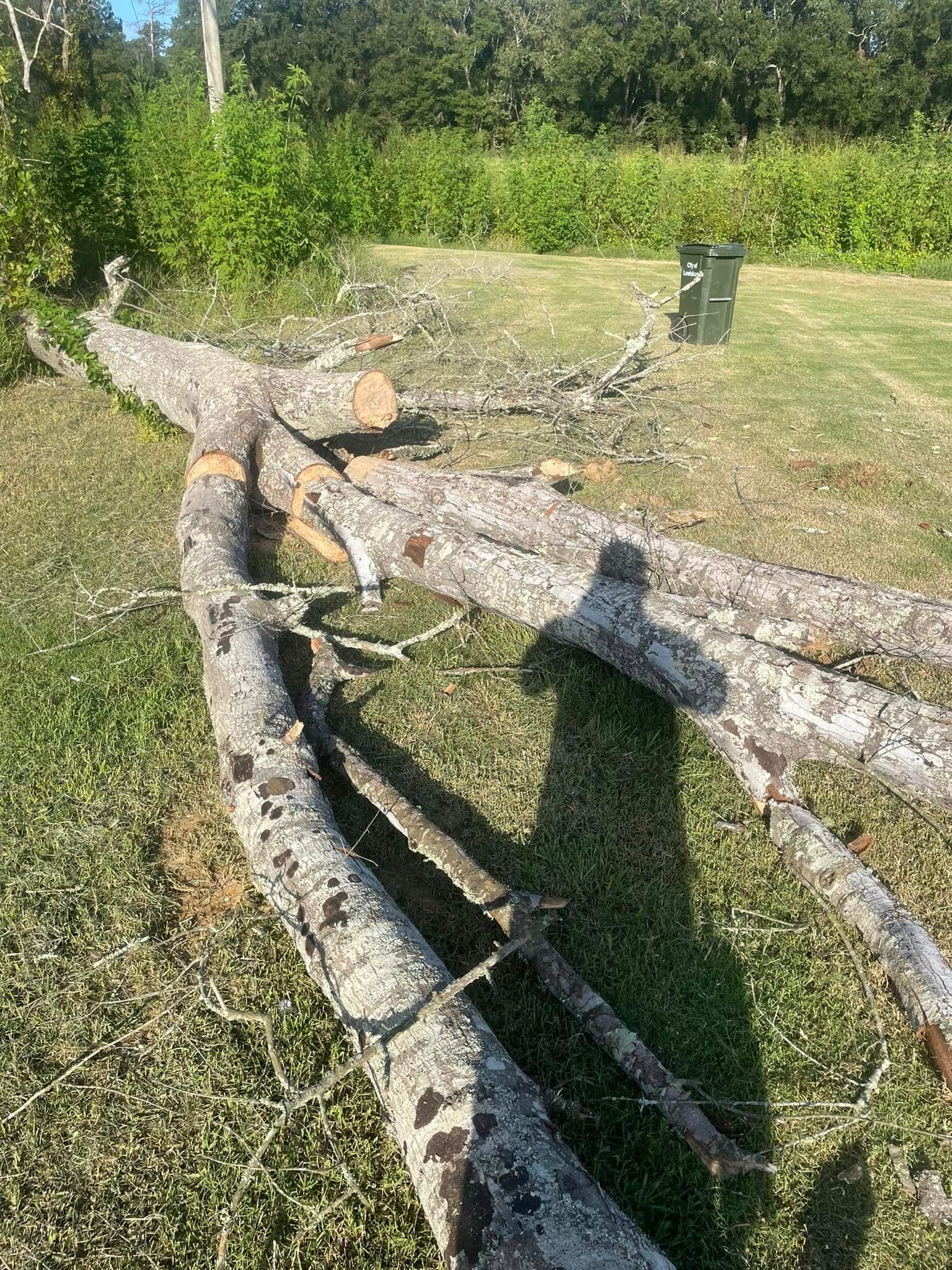  for Equality Contracting And Tree in Kountze, TX