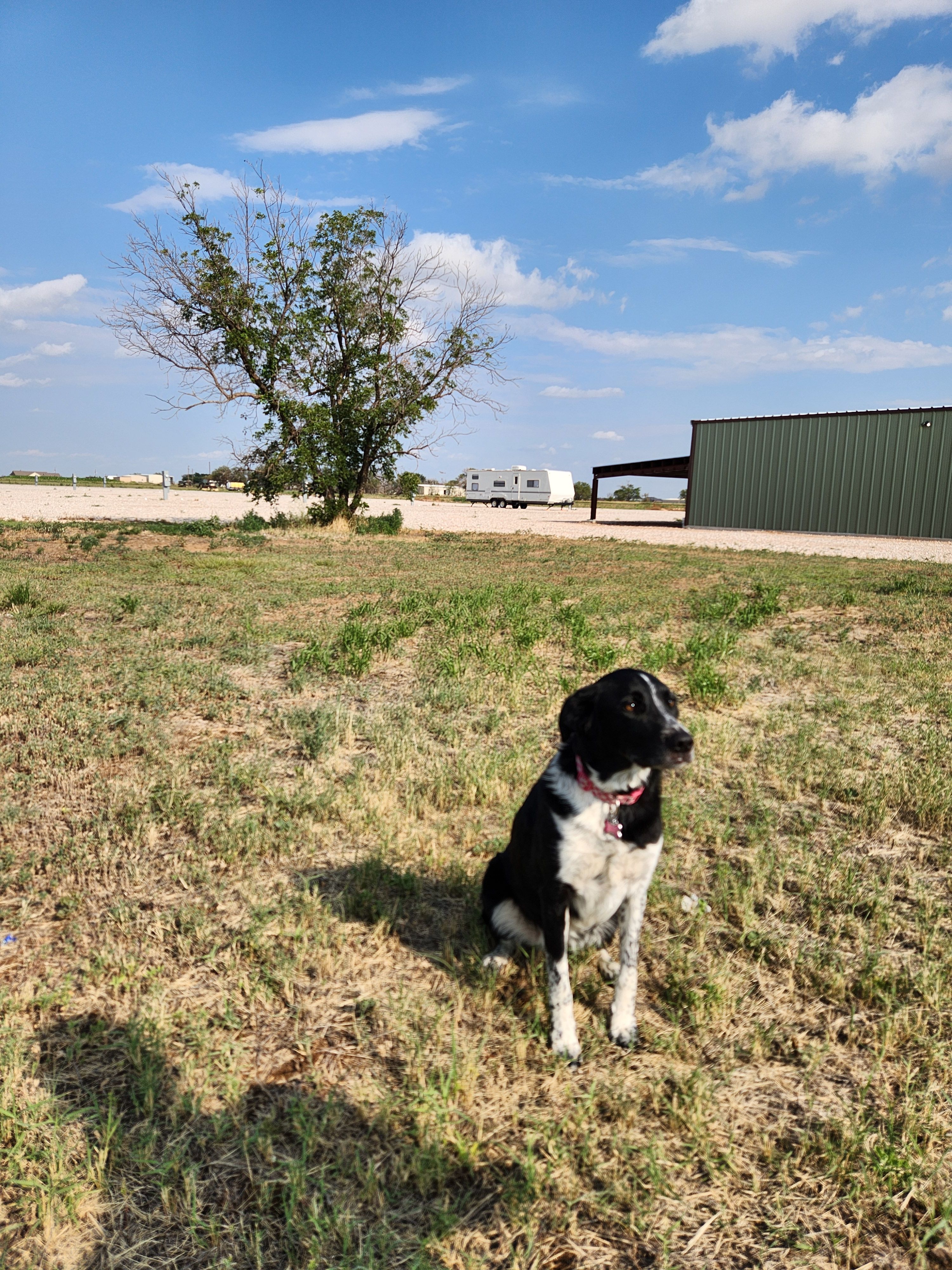 All Photos for Prairie Land Properties LLC in Lubbock, TX