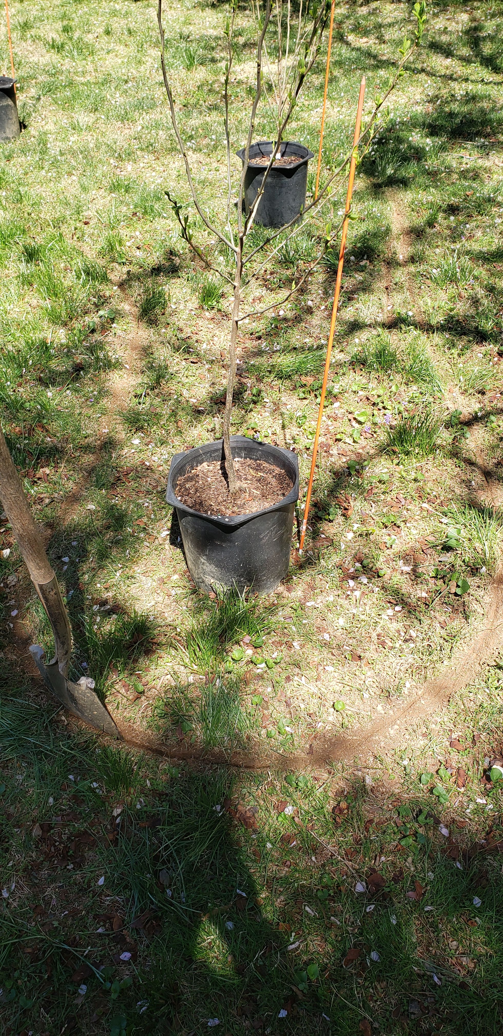  for Clean Cut Lawns & Landscaping in Dickerson, MD