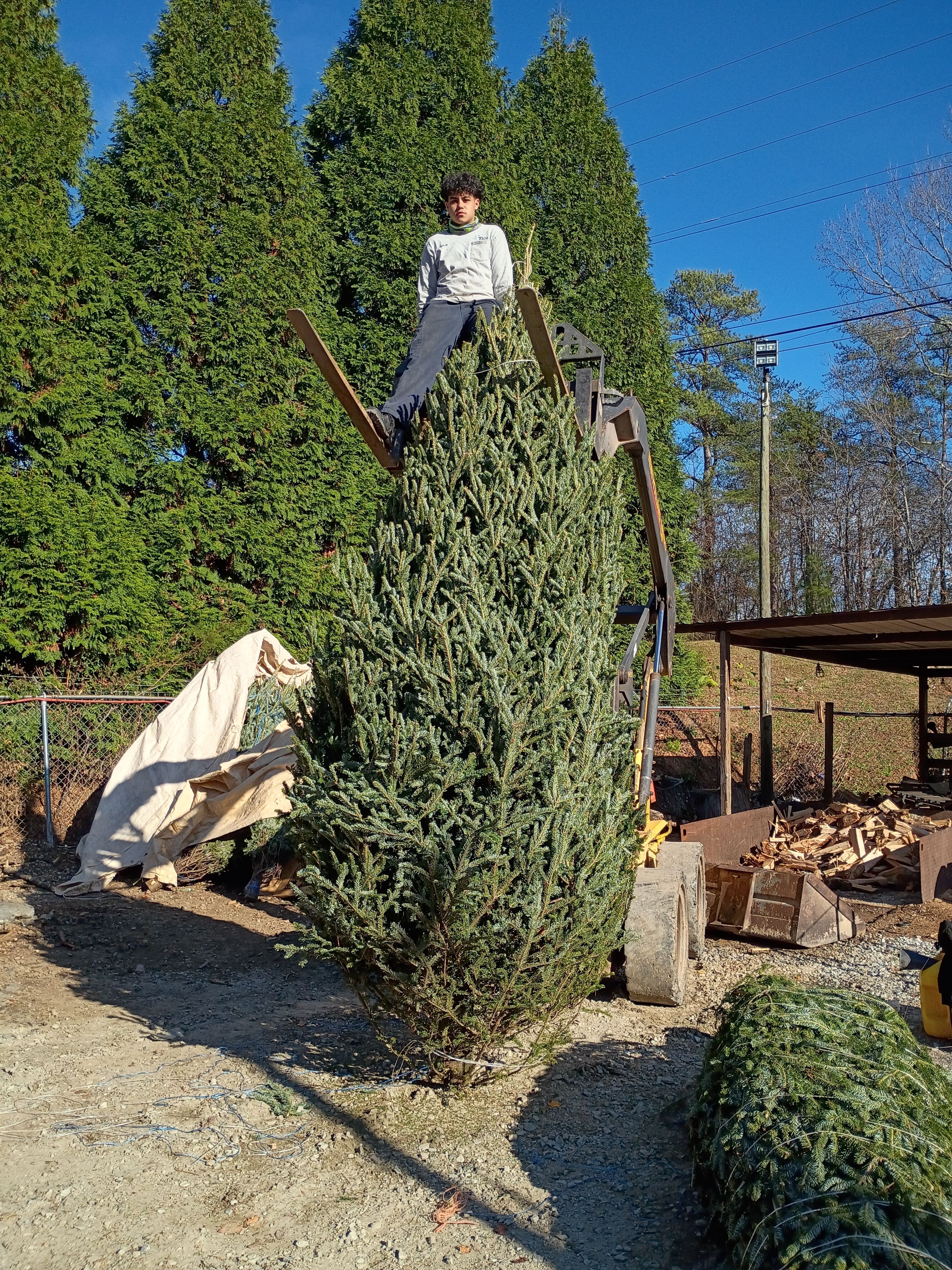 All Photos for BAM Another Pinestraw Lot in Flowery Branch, GA