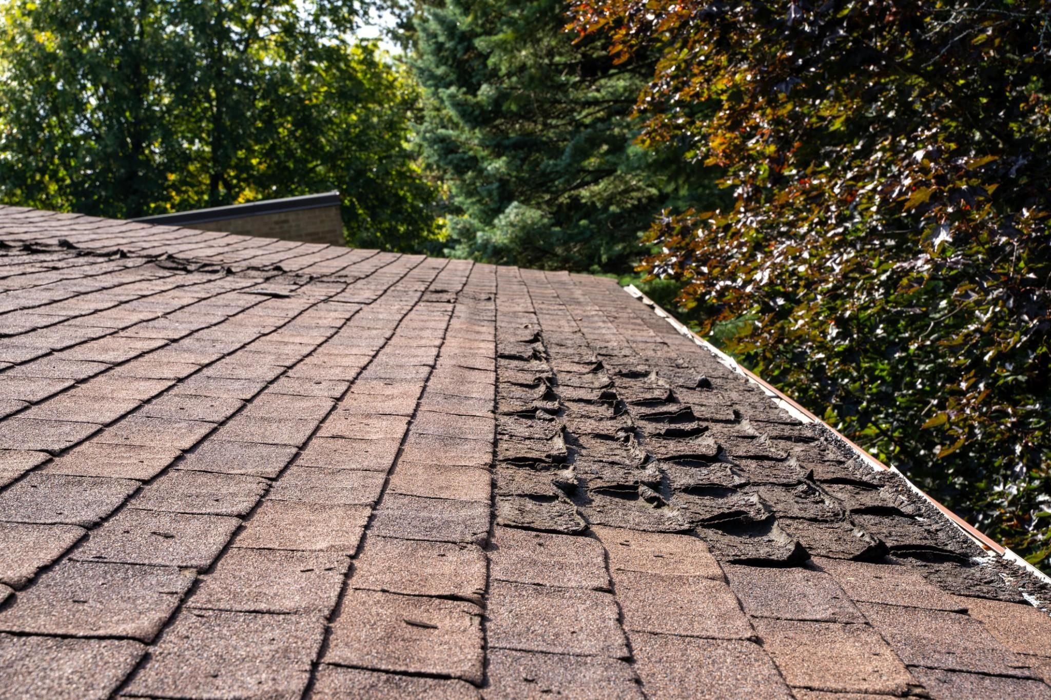  for Majestic Contracting Group in Conway, AR