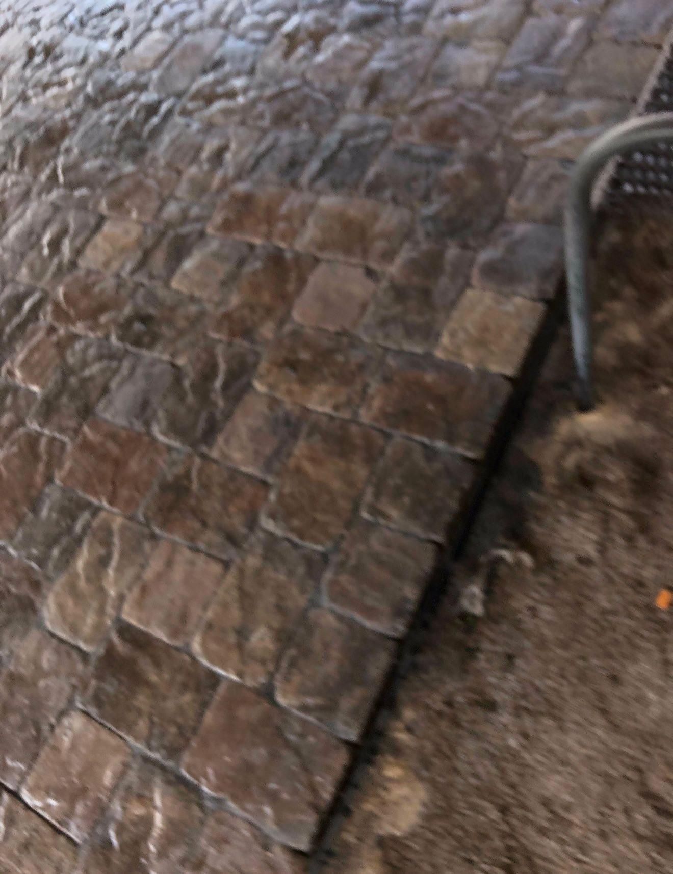  for Creative Landscape Solutions in Manchester, TN