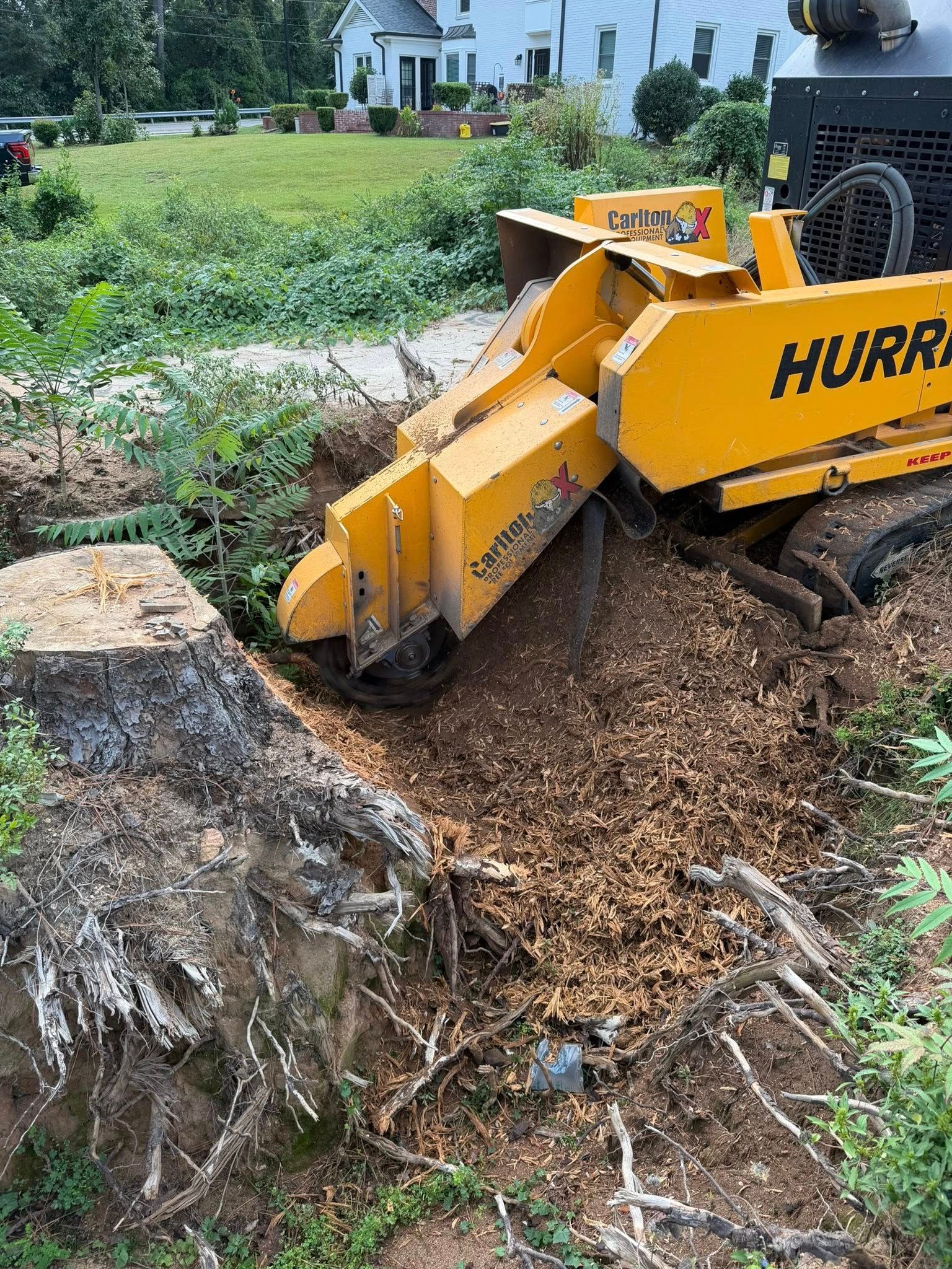 for Dozier Stump Grinding in Augusta, GA