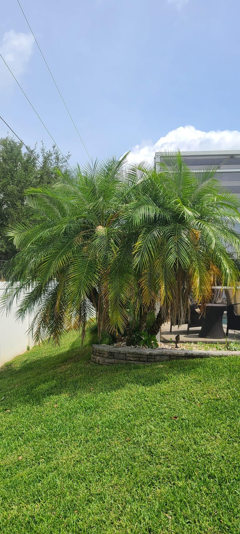  for TopNotch Landscaping Services  in The Villages, FL