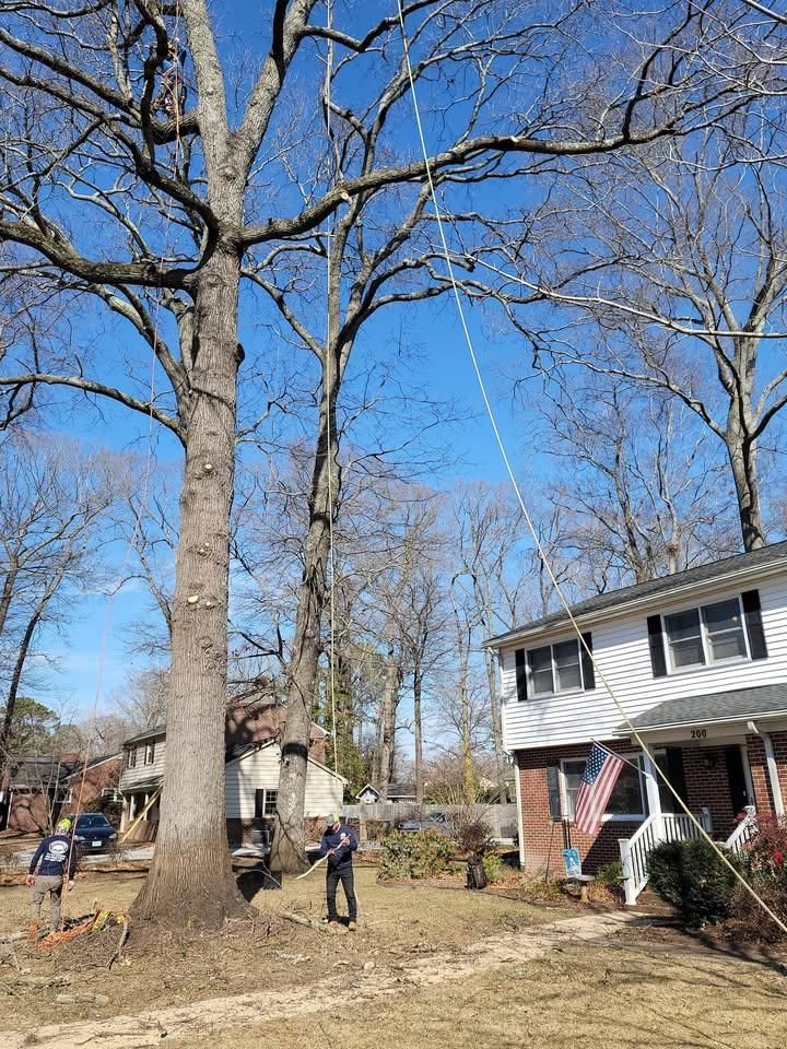  for Integrity Tree and Landscaping in Lynchburg, VA