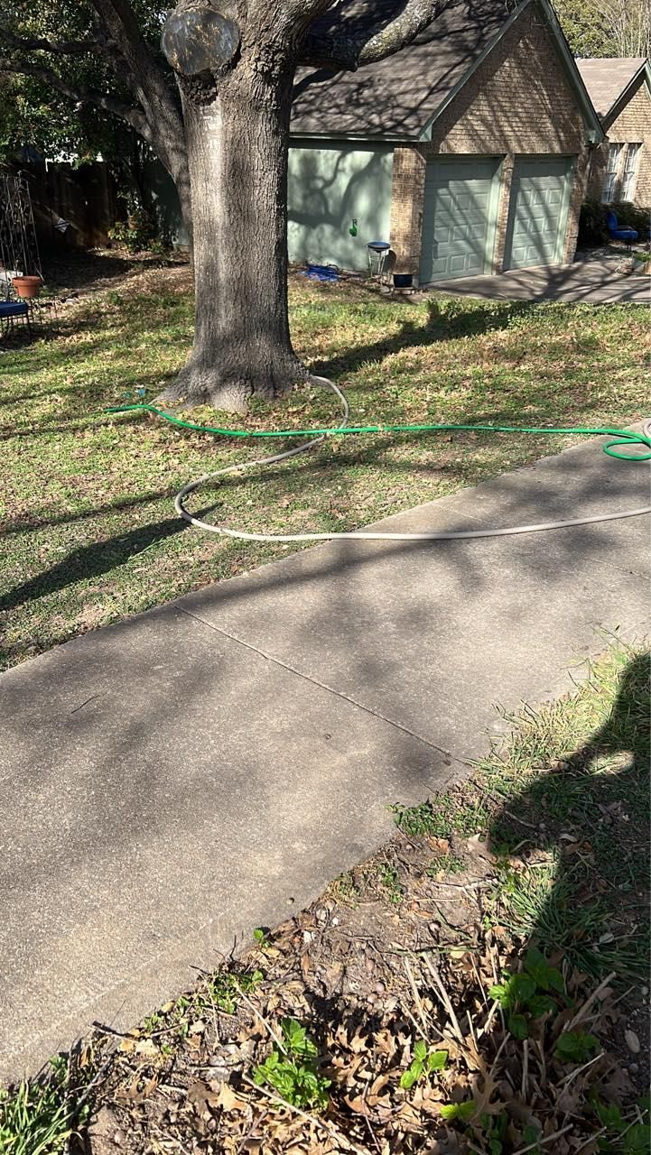 All Photos for Camerons Stump Grinding & Tree Services in Austin, TX