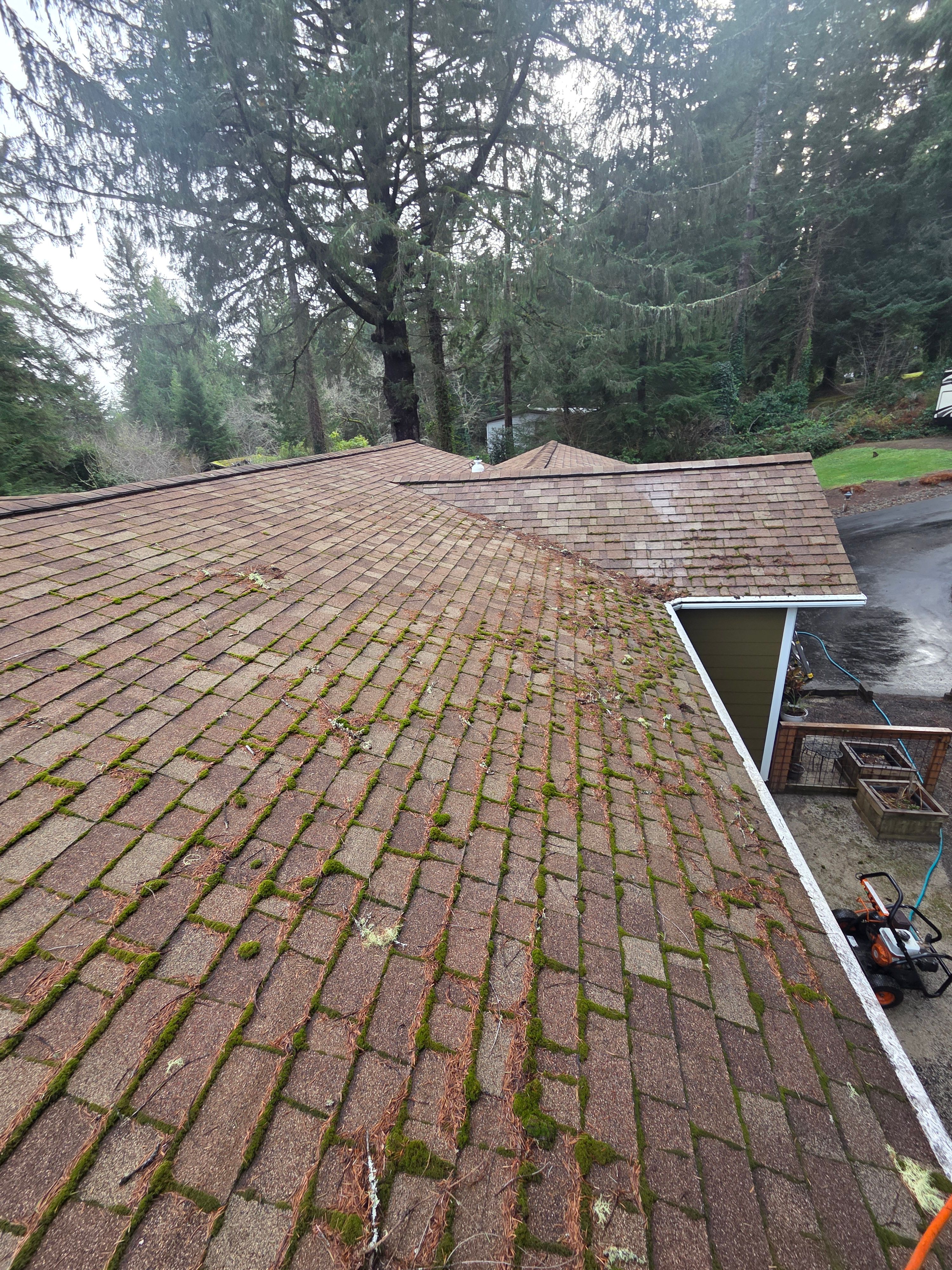  for BTC Construction in Florence, OR