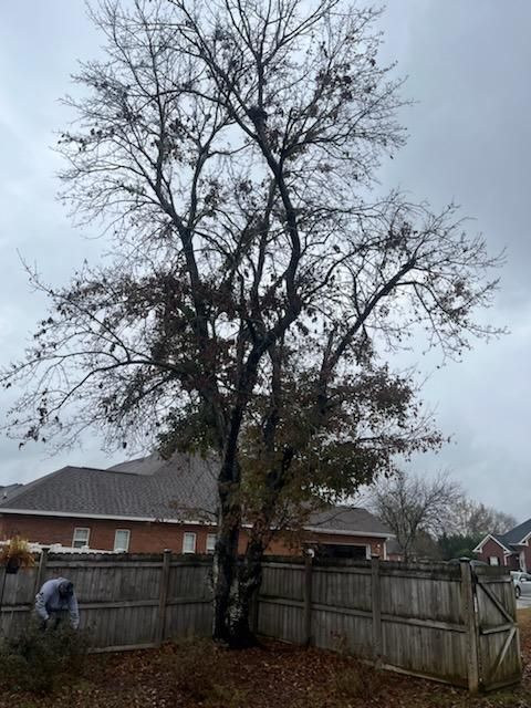 All Photos for Cornerstone Outdoor Solutions in Warner Robins, GA