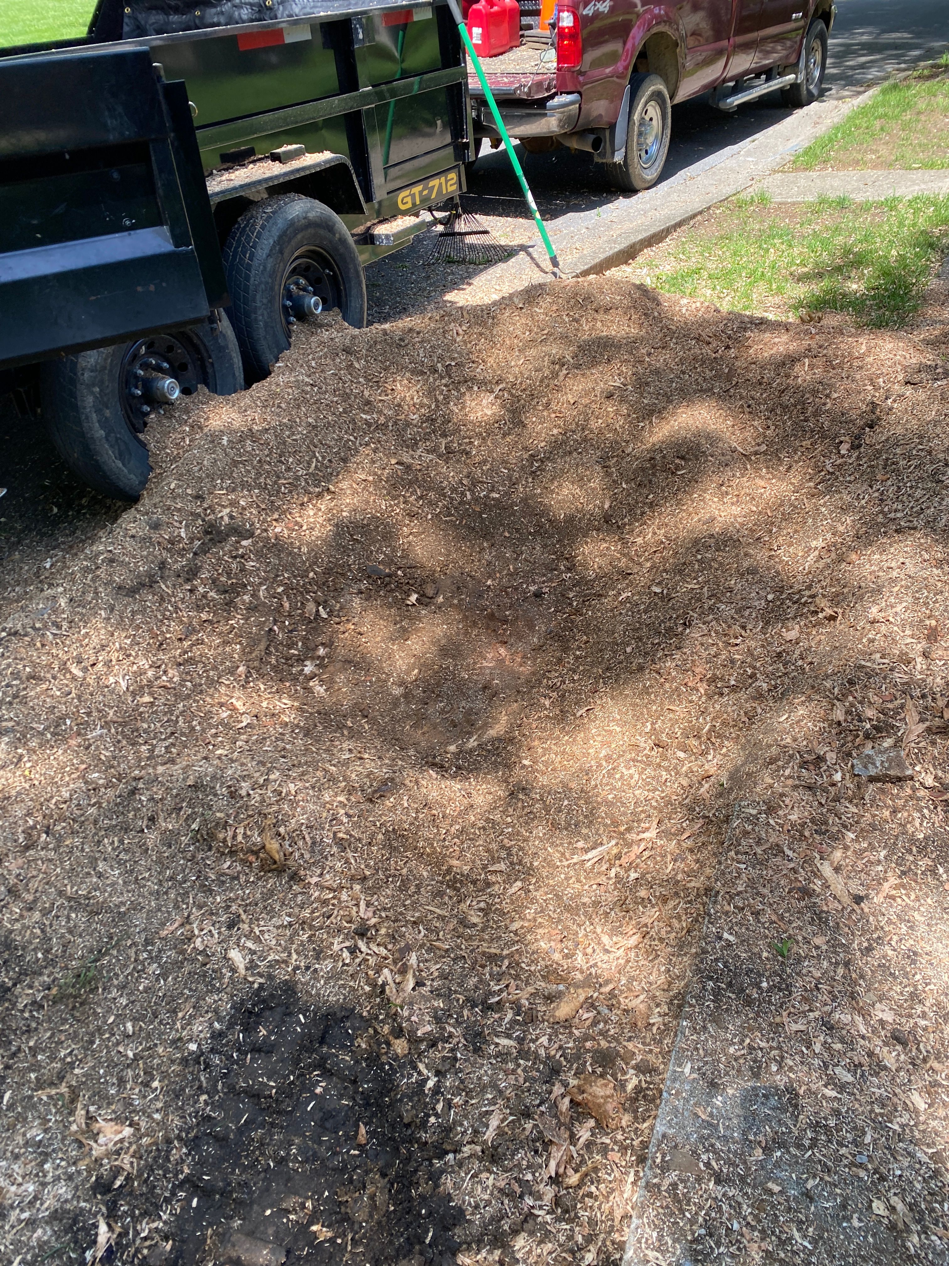 All Photos for Houtz Tree Service in Lexington, KY