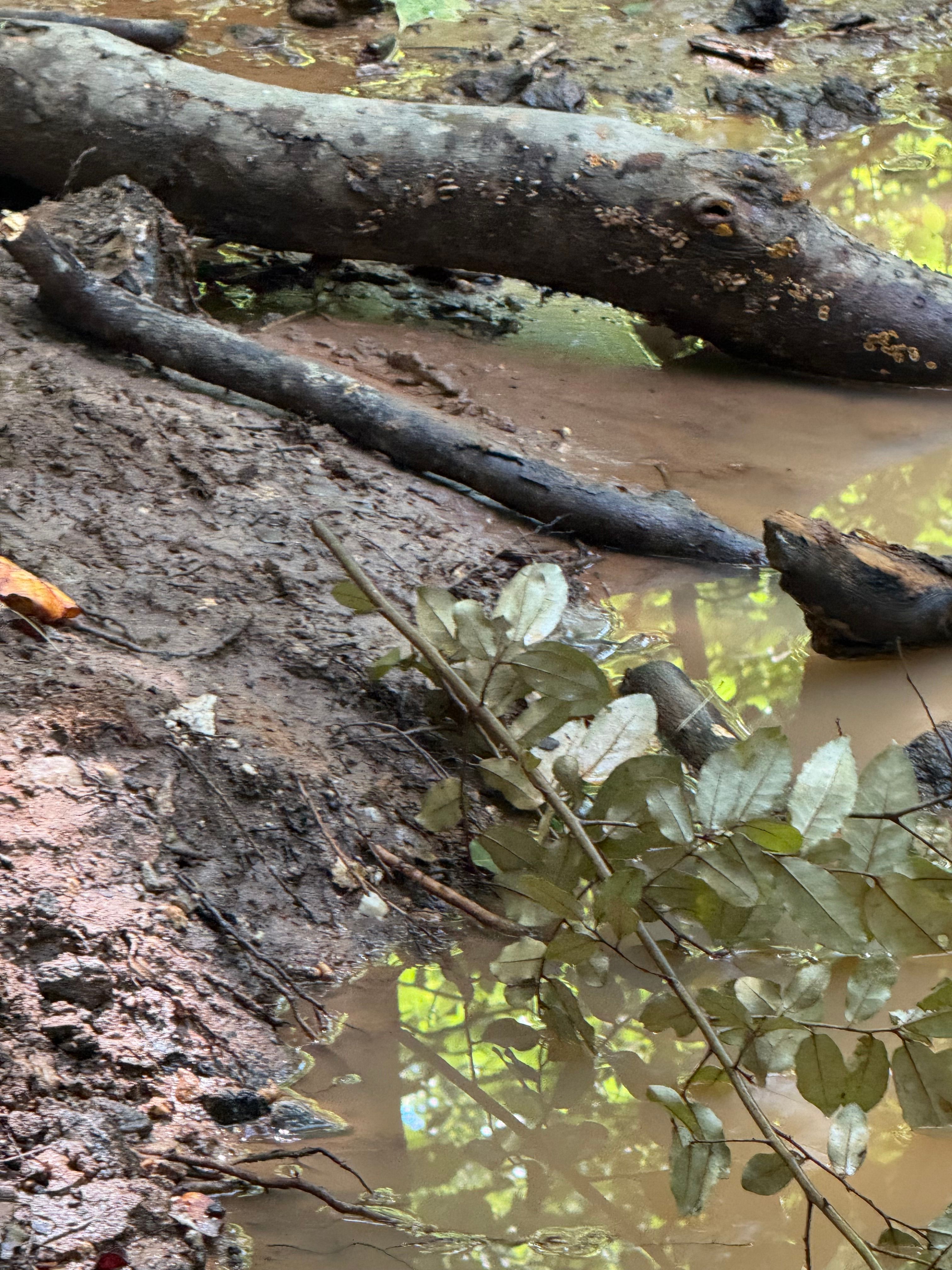  for Foothills Spill Response Team LLC in Spindale, NC