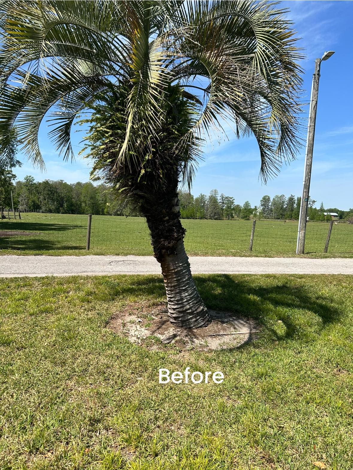  for Greene Acres Stump Grinding in Plant City, FL
