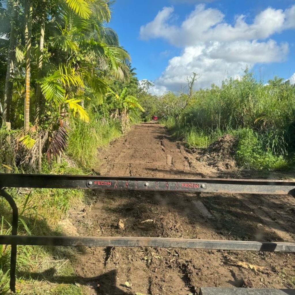  for Nurry Tree Services in Miami, FL