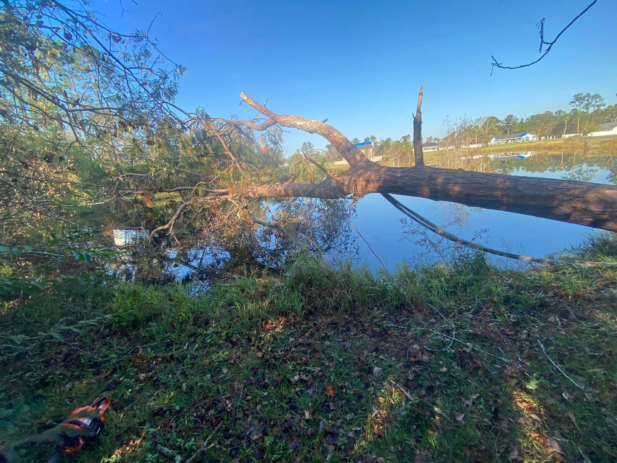  for H&H Land Clearing in Norman Park, GA