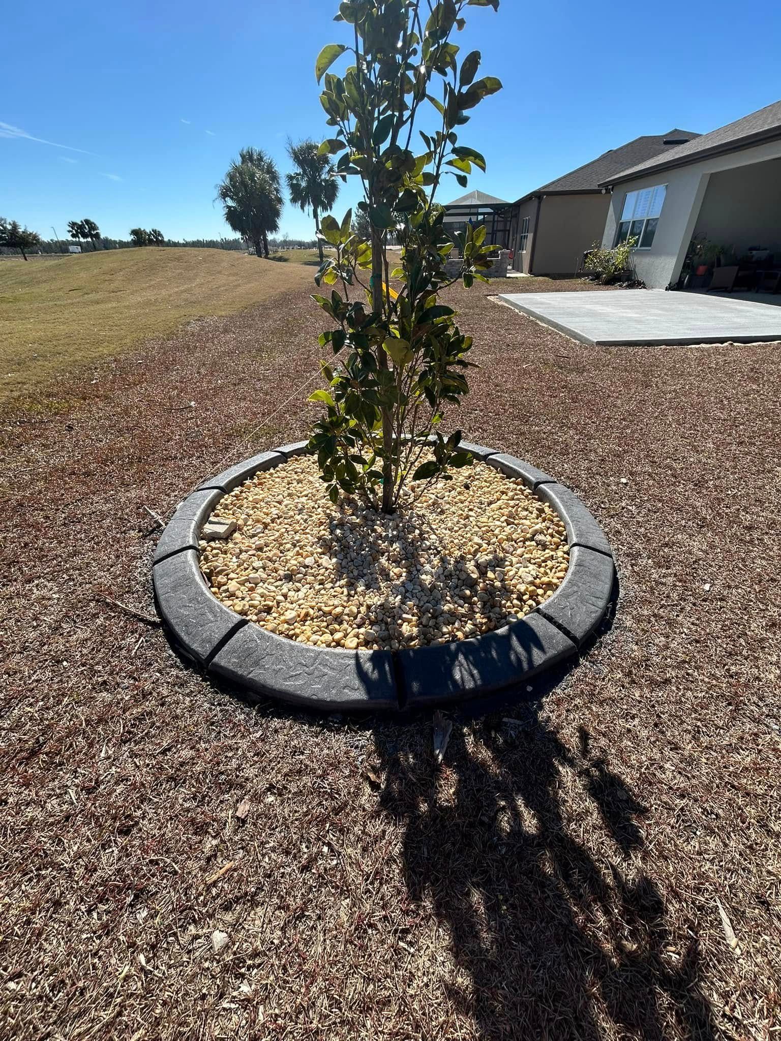  for J and E LAWN Landscaping in Gainesville, Florida