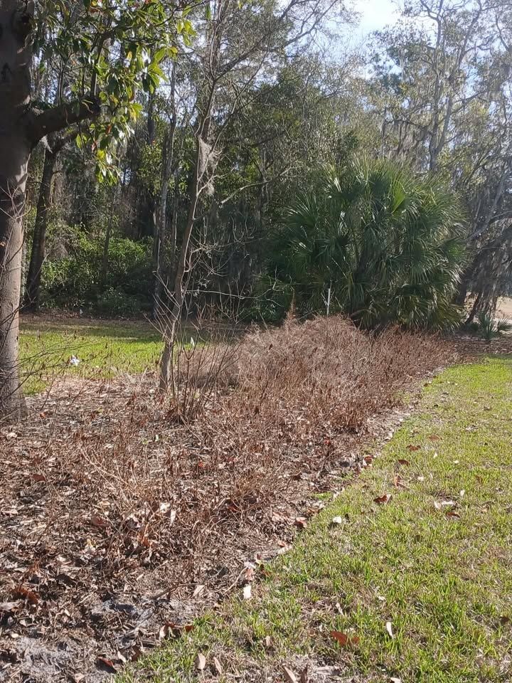  for Whole 9 Yards Services LLC in Green Cove Springs, FL