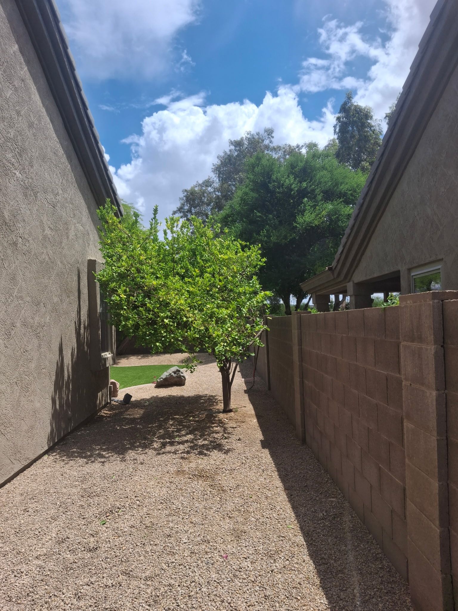  for Family Landscaping in Phoenix, AZ
