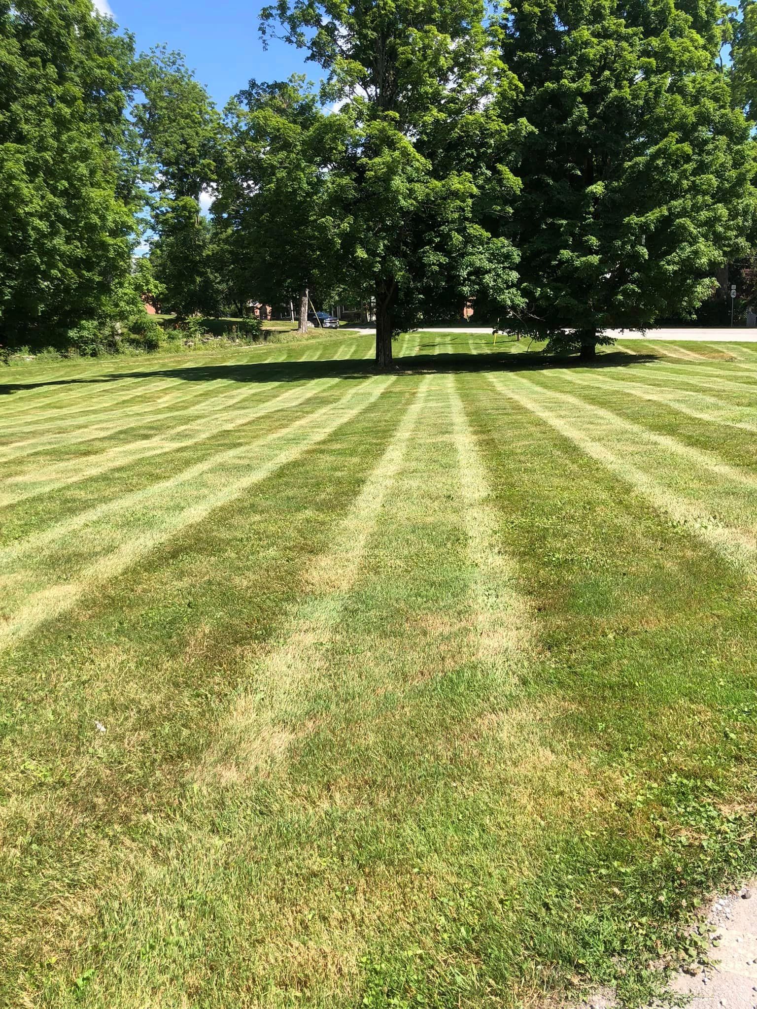  for Levi Allen Lawn Care in Rutland County, VT