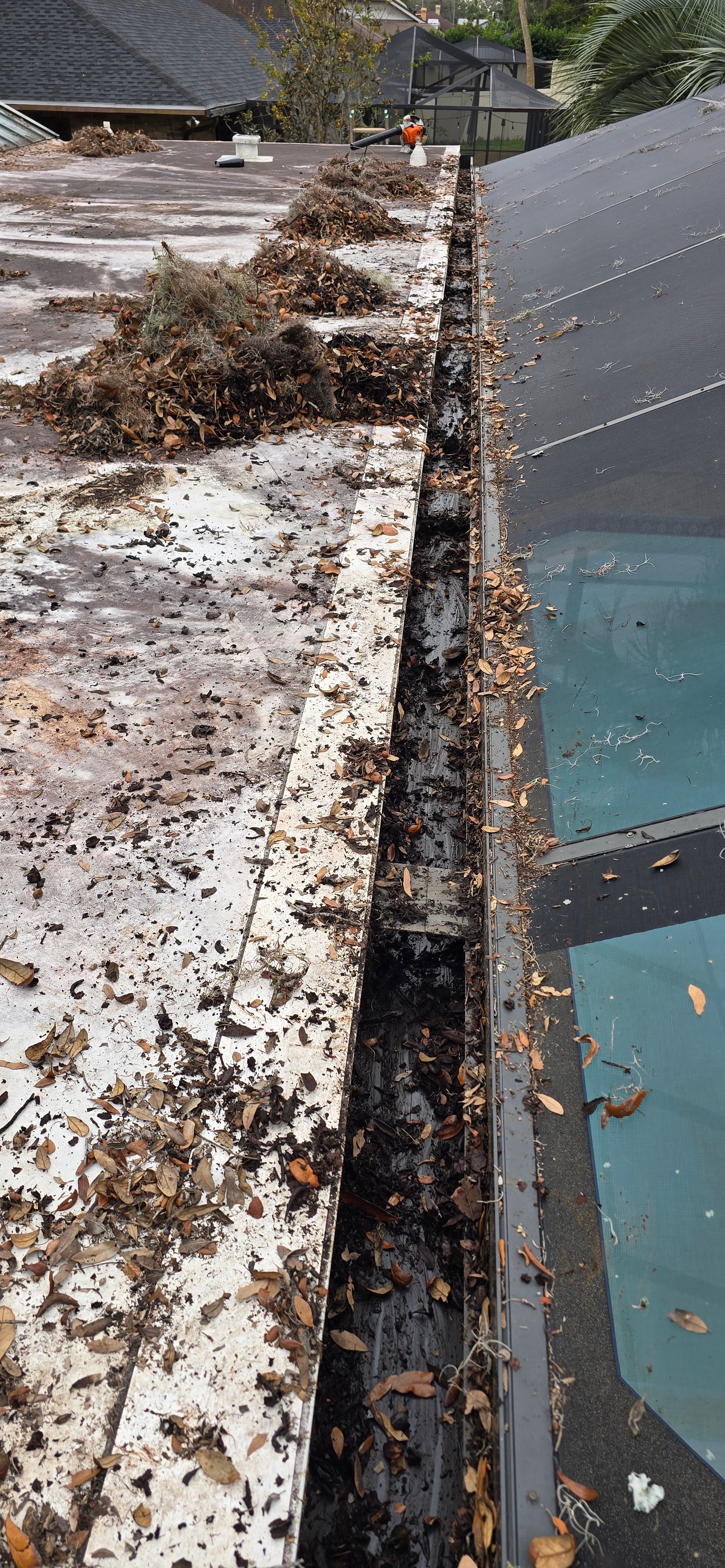  for Blue Stream Roof Cleaning & Pressure Washing in Tampa, FL