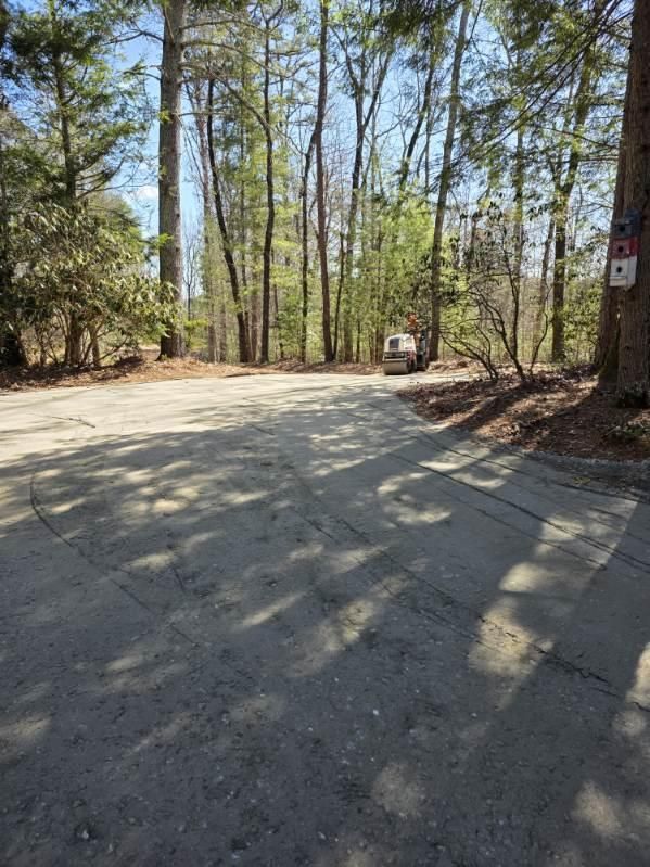  for Bobcat Bob in Clermont, GA