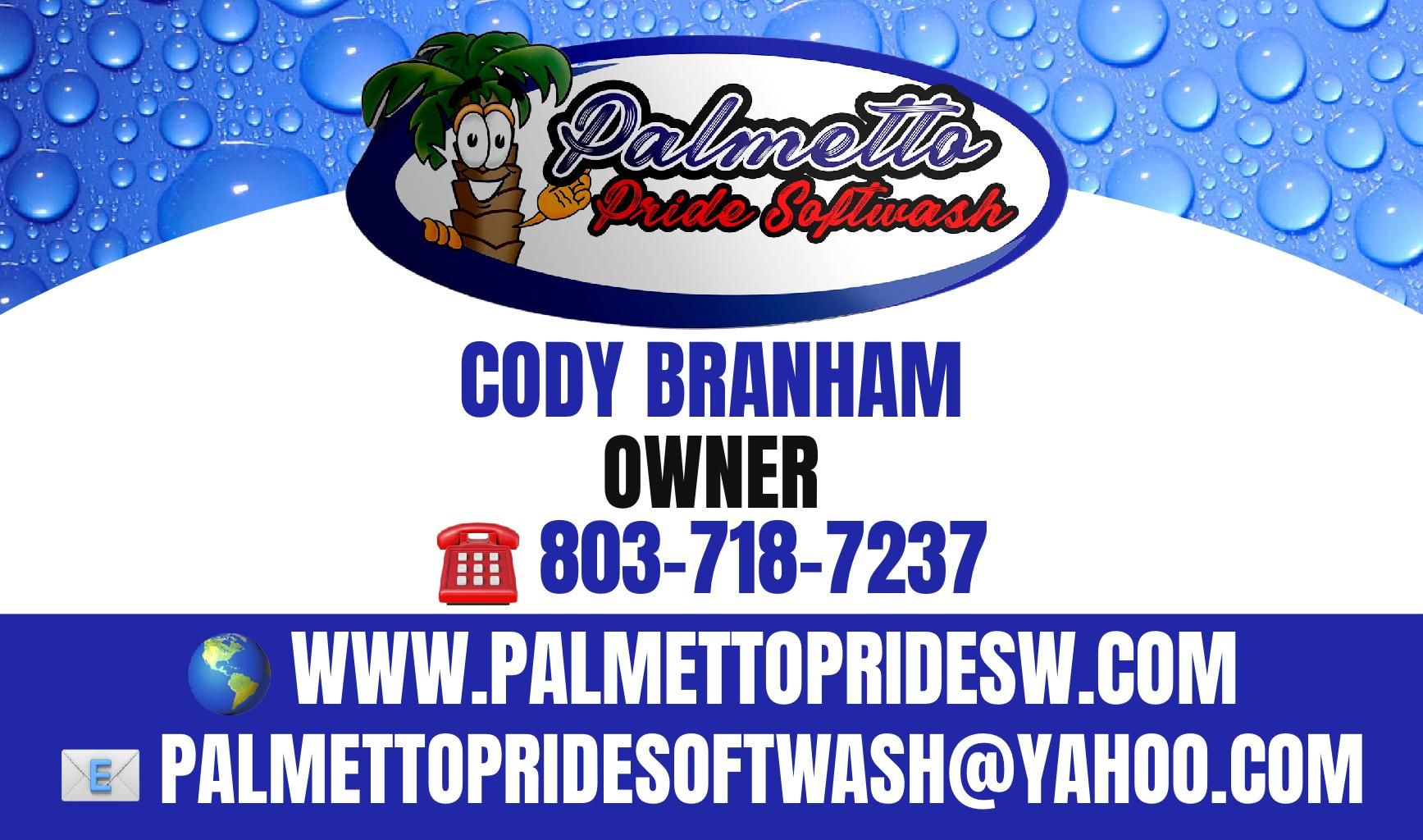  for Palmetto Pride Softwash in Lexington, SC