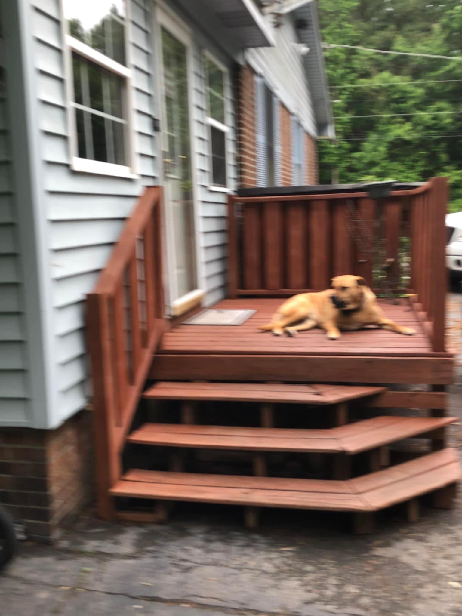  for Rent-A-Painta in Wilson, NC