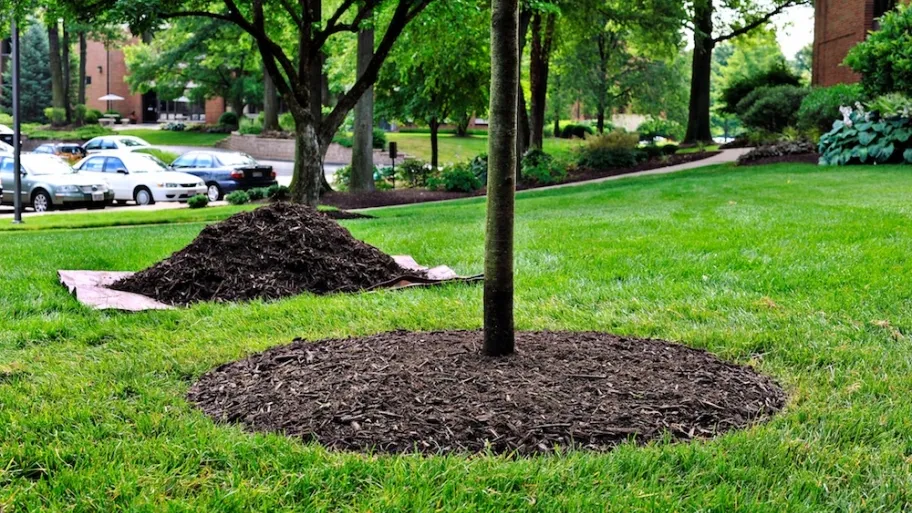 All Photos for Phillips Lawn Services in Ravenna, MI