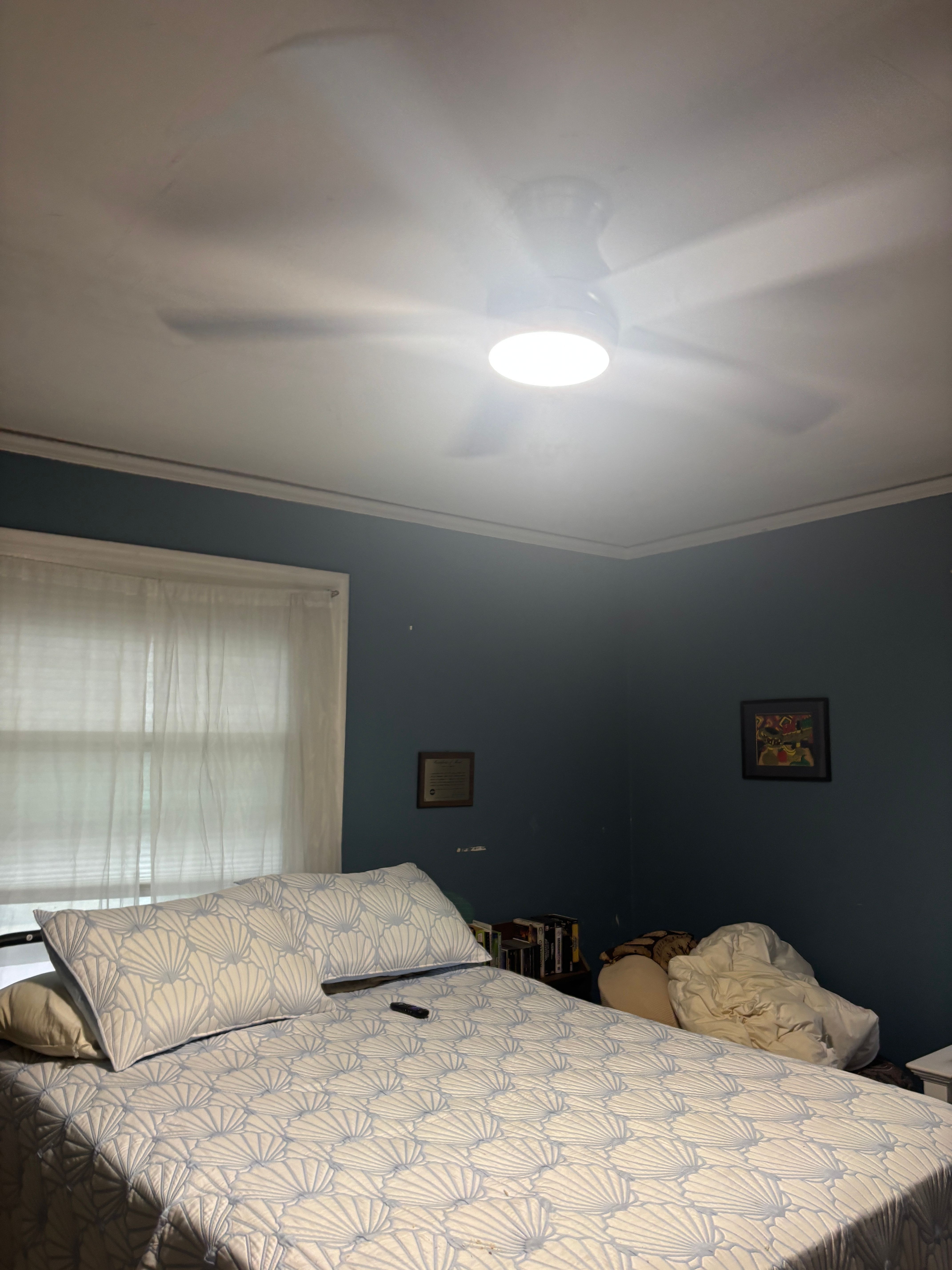  for Stephen Whealan Licensed Electrician in Plymouth, MA