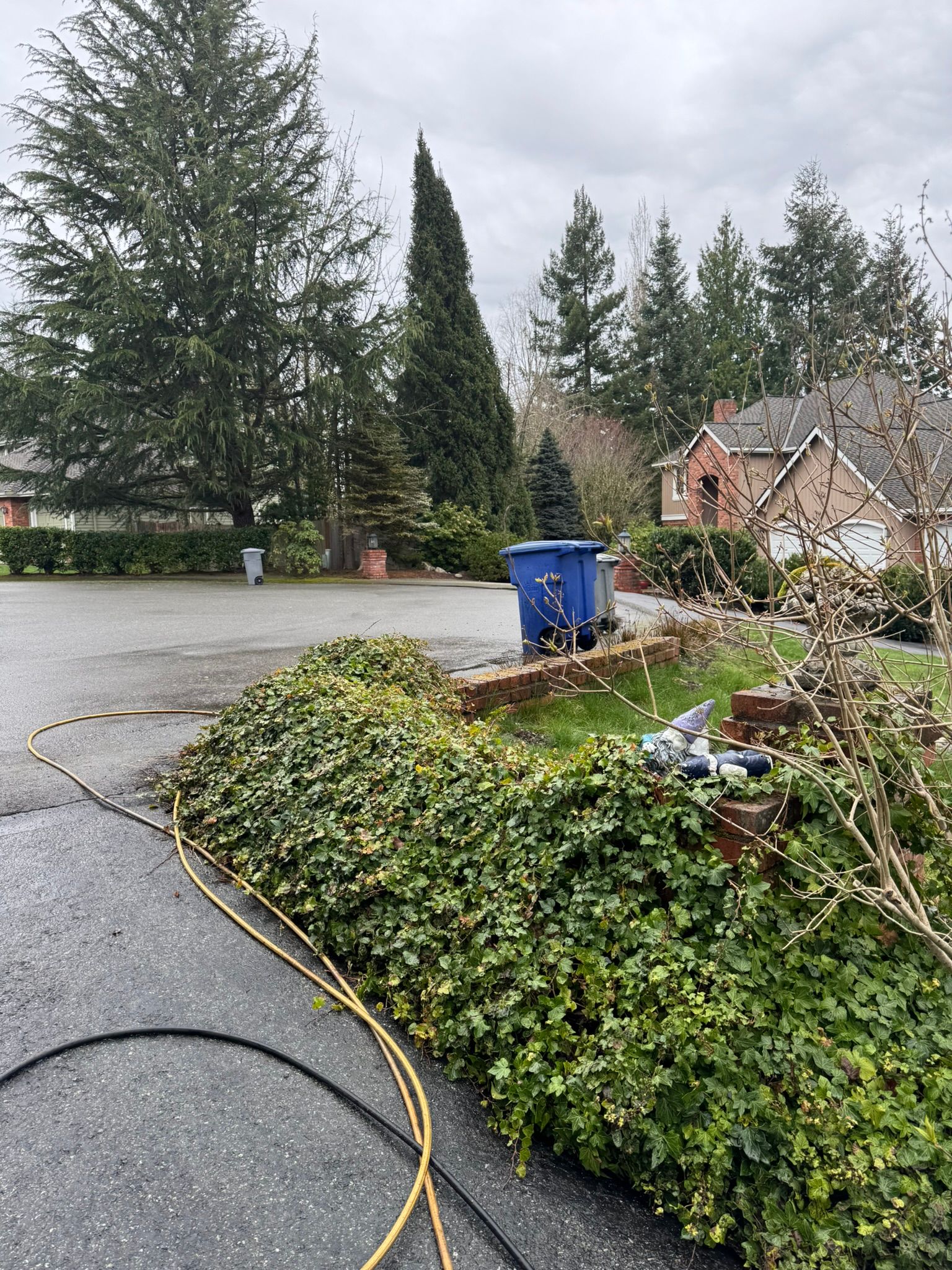  for Tony's Remodeling & Painting in Renton, WA