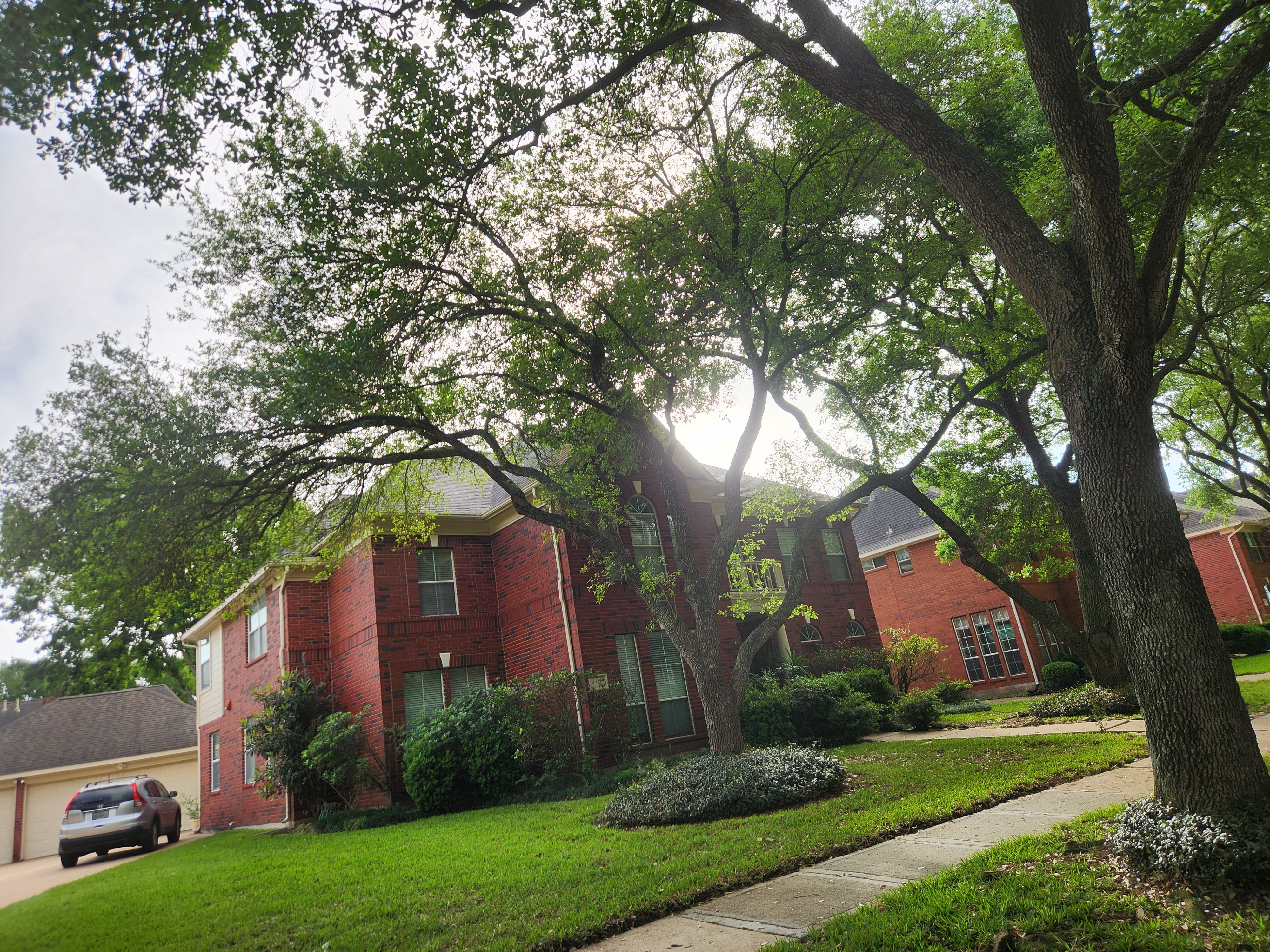 for Right Choice Landscaping LLC in Houston, TX
