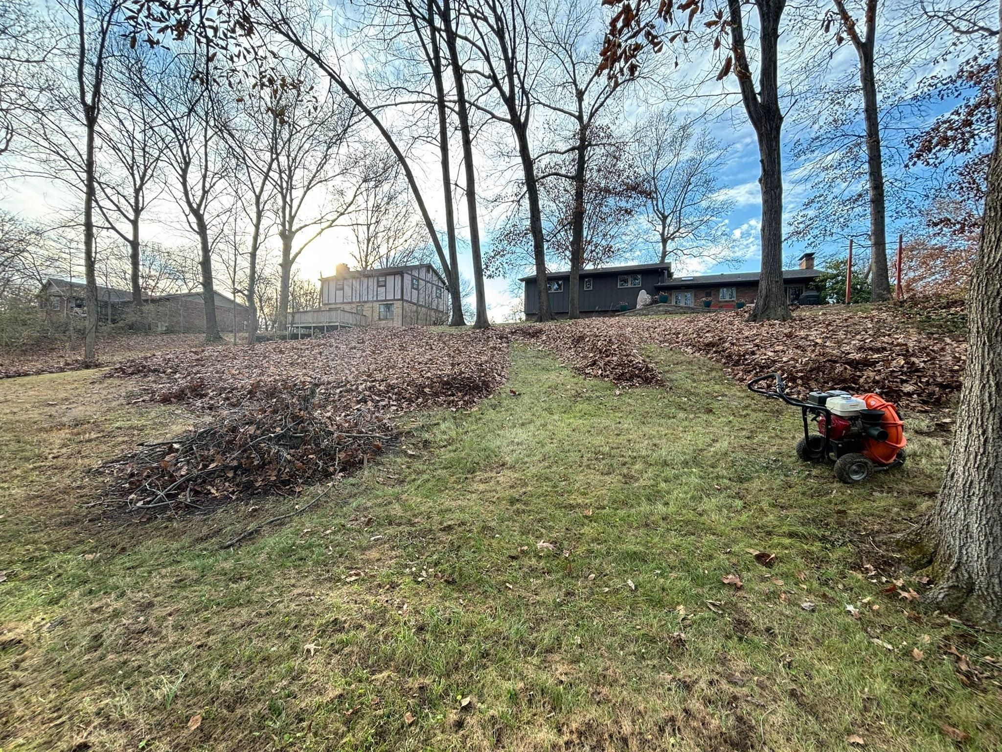  for Andrew's Lawn Service LLC in Lebanon, IL