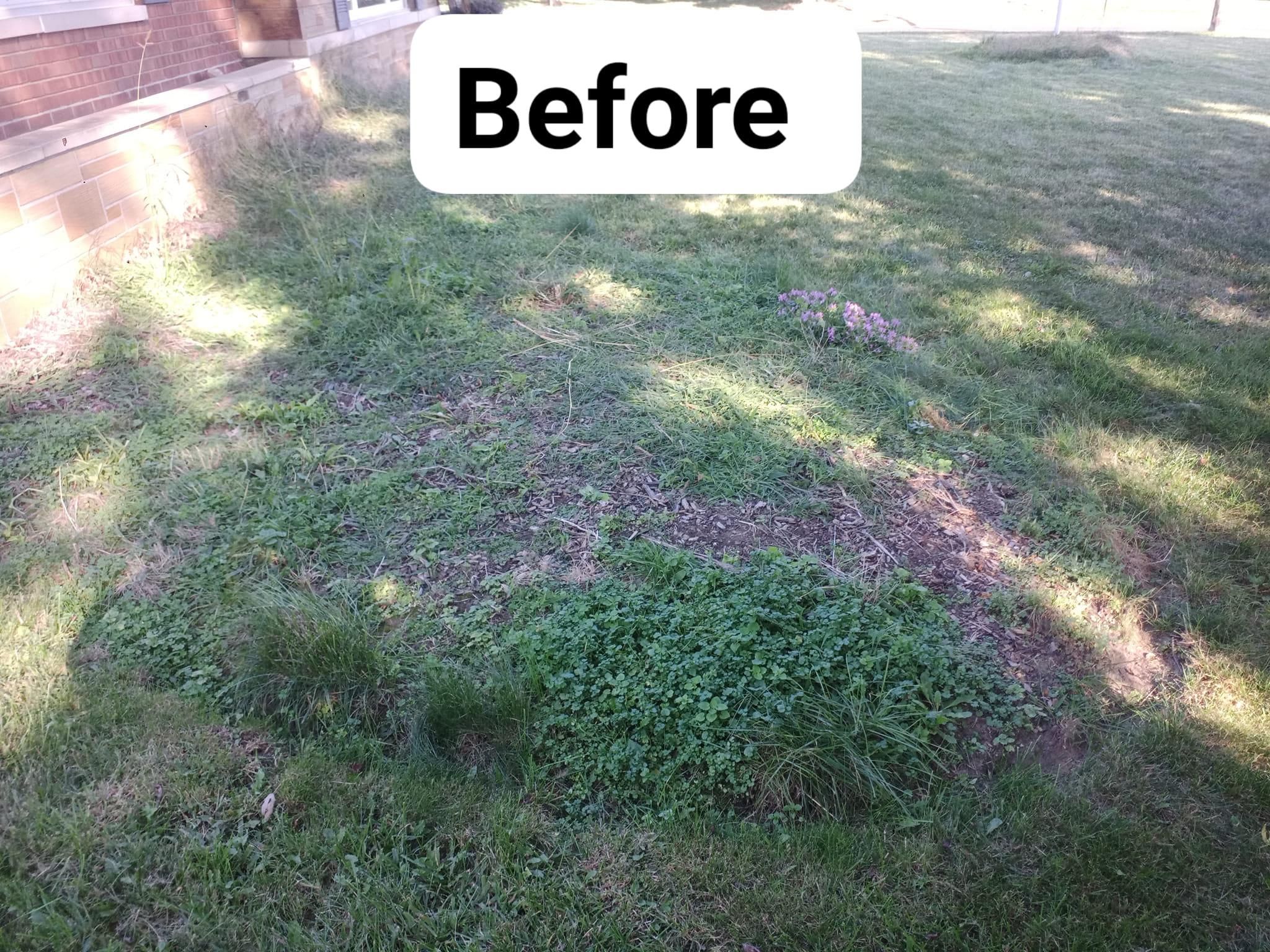  for Hendricks Mowing in Amherst, OH