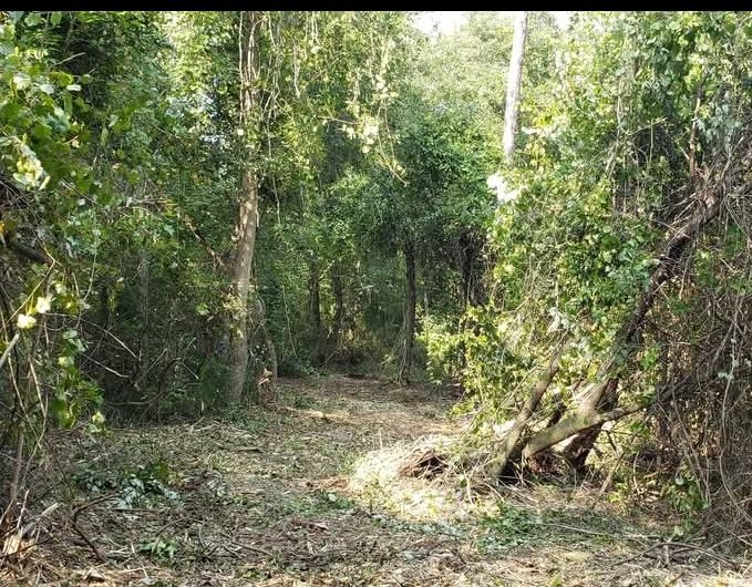 All Photos for TJ Farm and Land Management in Loris, SC
